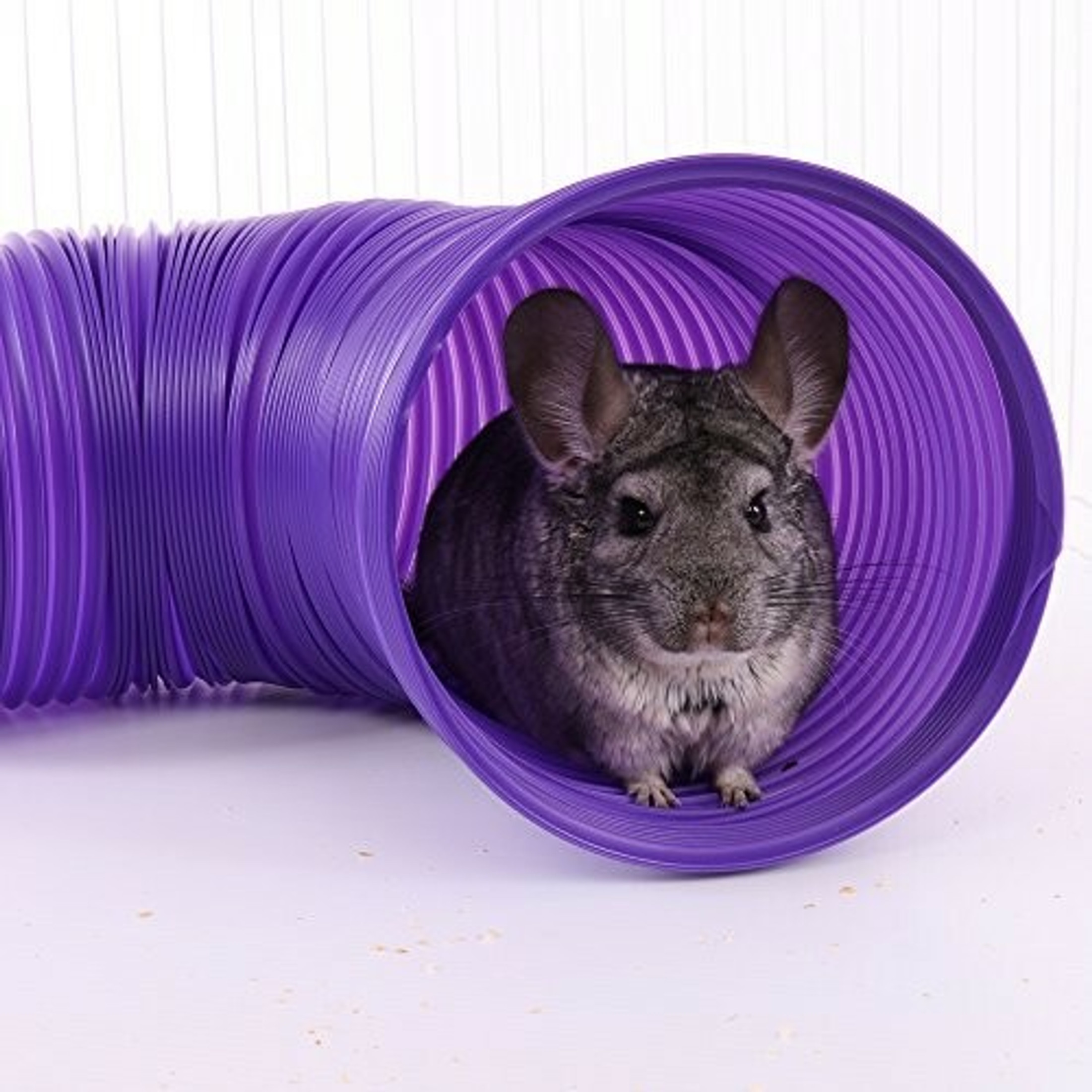 Ware Manufacturing Fun Tunnels Play Tube for Small Pets