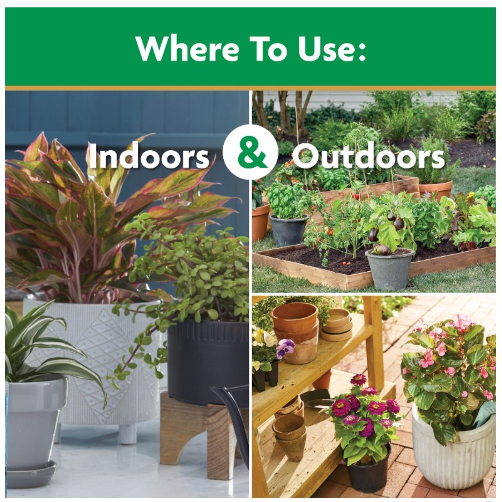 Miracle-Gro Water Soluble All Purpose Plant Food, 8 oz