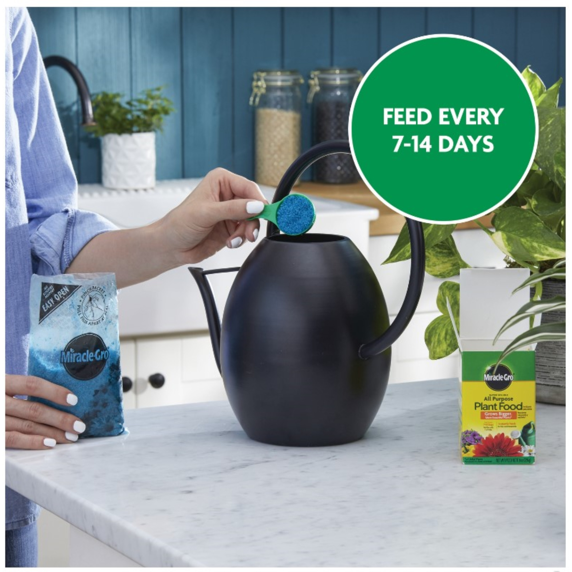 Miracle-Gro Water Soluble All Purpose Plant Food, 8 oz