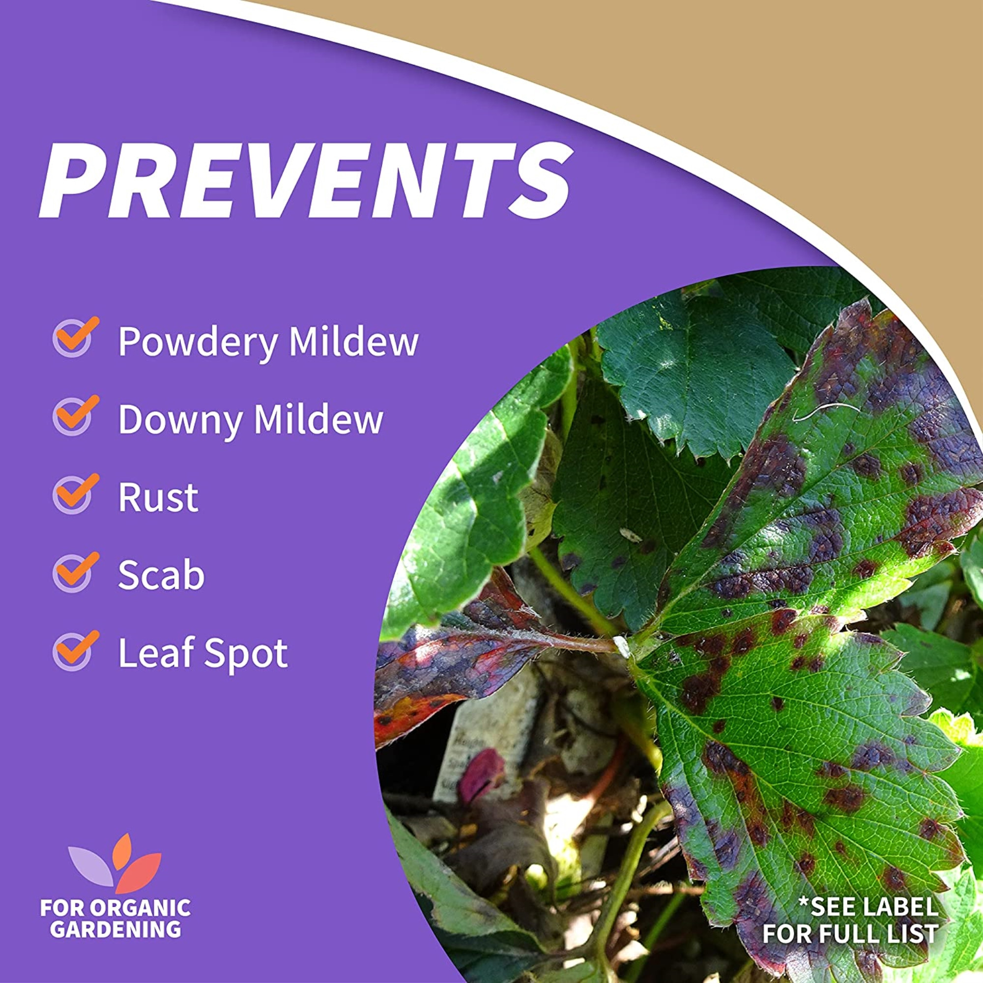 Bonide Products Neem Oil Spray RTU, 32 oz