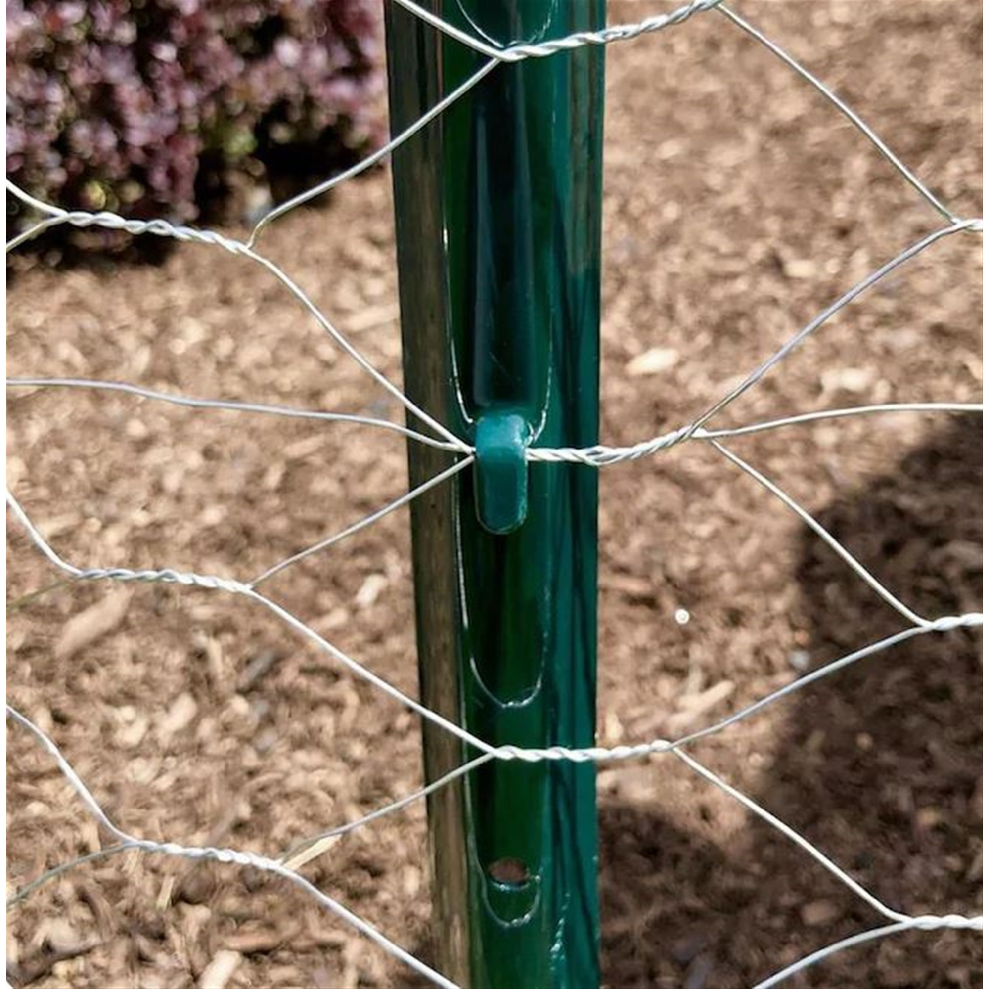 Garden Zone Galvanized Steel Hex Poultry Rolled Netting, 2 feet x 50 feet