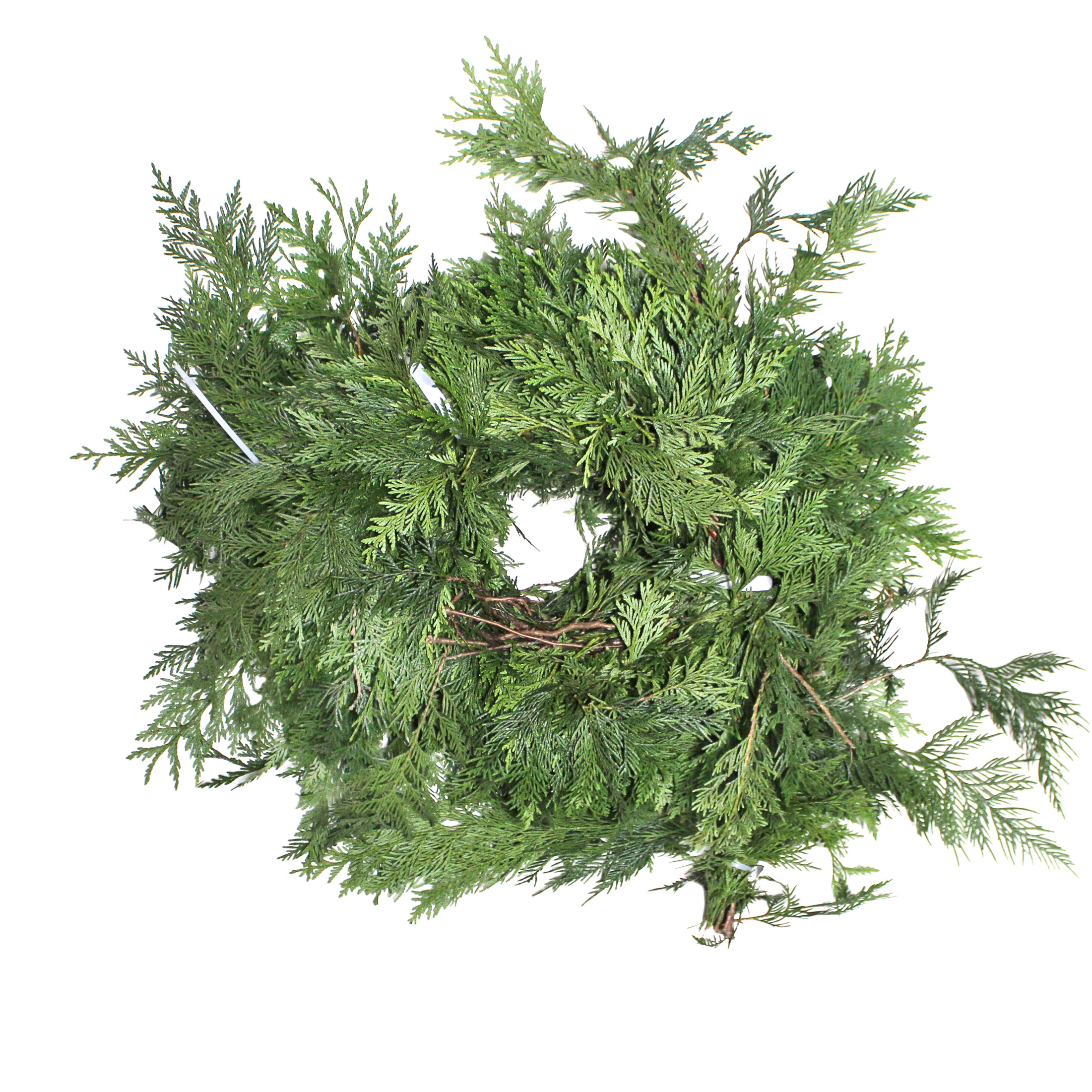 Garden Elements Fresh Live Christmas Holiday Decorative Greens Rope Garland, Western Cedar, 25'