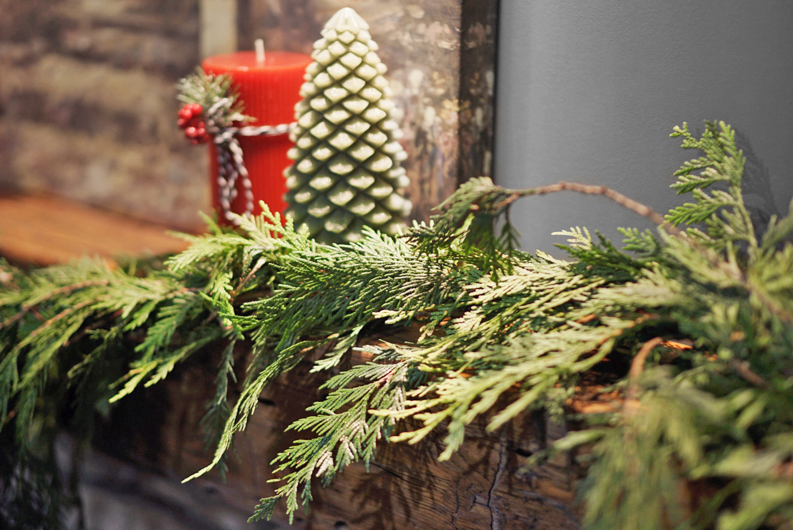 Garden Elements Fresh Live Christmas Holiday Decorative Greens Rope Garland, Western Cedar, 25'