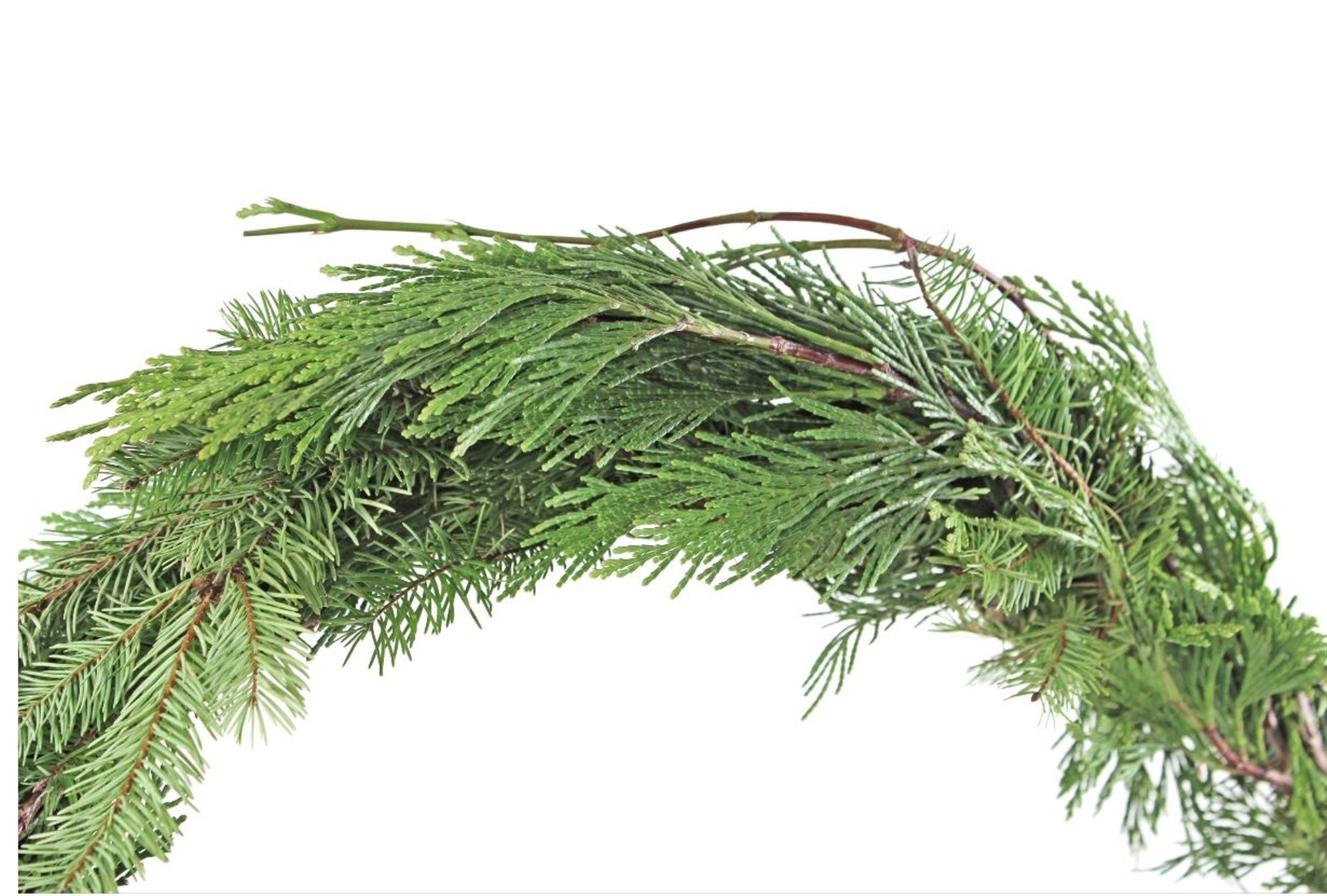 Garden Elements Handmade Fresh Holiday Evergreen Decorative Rope Garland – Mixed Cedar & Douglas Greens, 25'