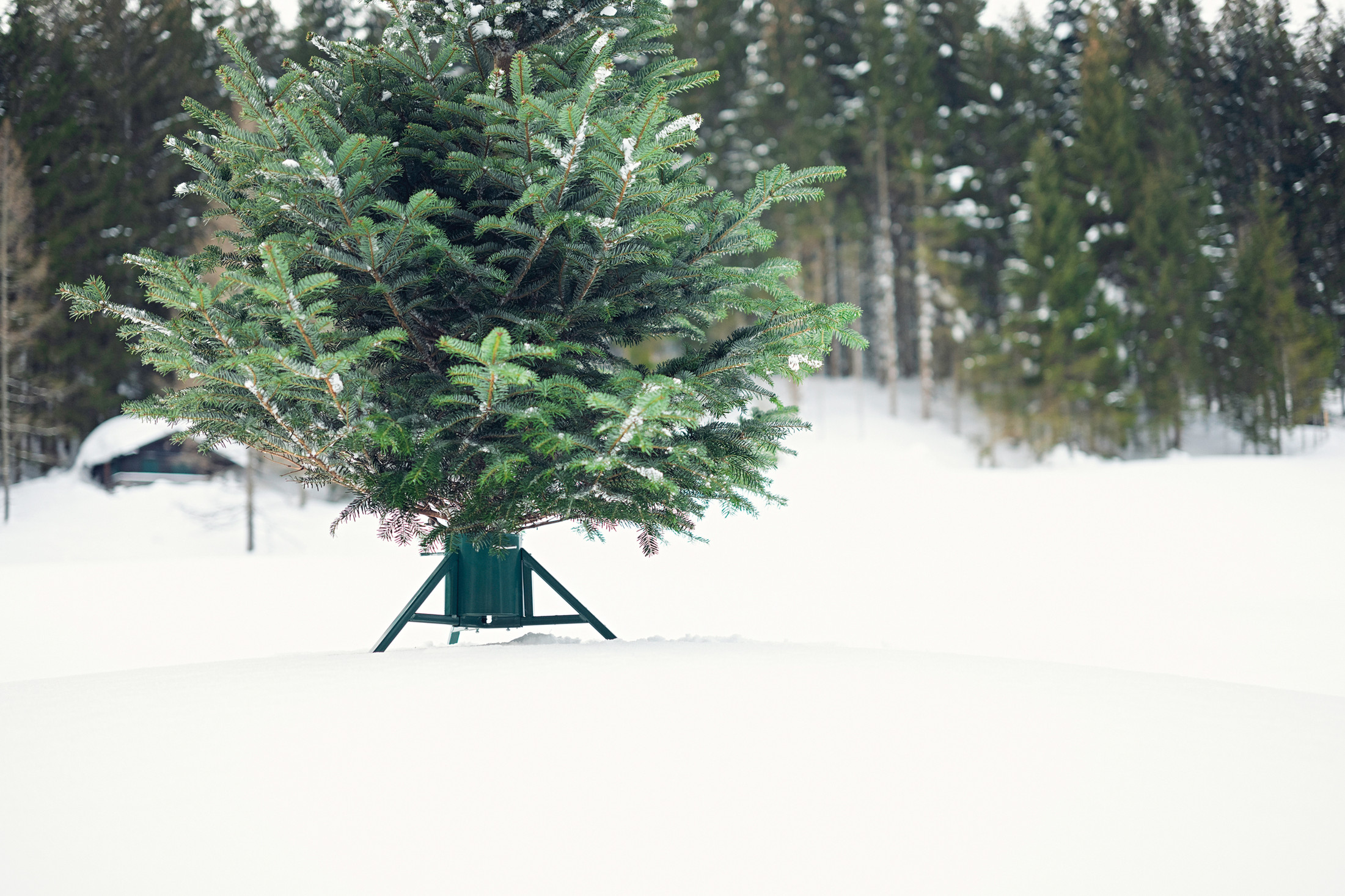 Tree Nest (#218622) Large Red Geometric Christmas Tree Stand