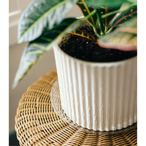 Curtis Wagner Plastics Vinyl Plant Saucer — Air-Flow Bottom Design, Clear — 25”