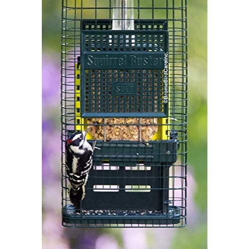 Brome Squirrel Buster Suet Bird Feeder — Squirrel-Proof Cage — Holds 2 Suet Cakes, Green, 18.6" H