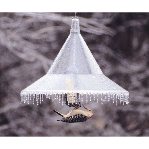 Arundale Mandarin Hanging Squirrel Baffle — Clear Plexiglas Tilt Design — 17" D x 12.5" H