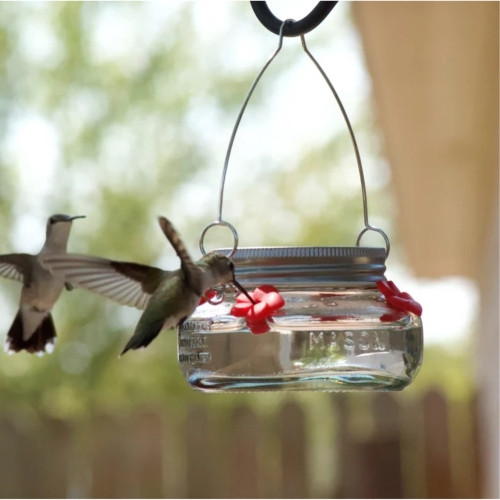Nature’s Way Glass Mason Jar Hummingbird Feeder — 4 Feeding Ports — Easy Fill & Clean, 6 oz