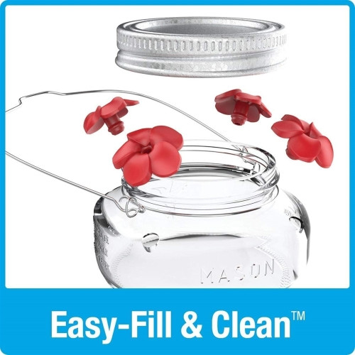 Nature’s Way Glass Mason Jar Hummingbird Feeder — 4 Feeding Ports — Easy Fill & Clean, 6 oz