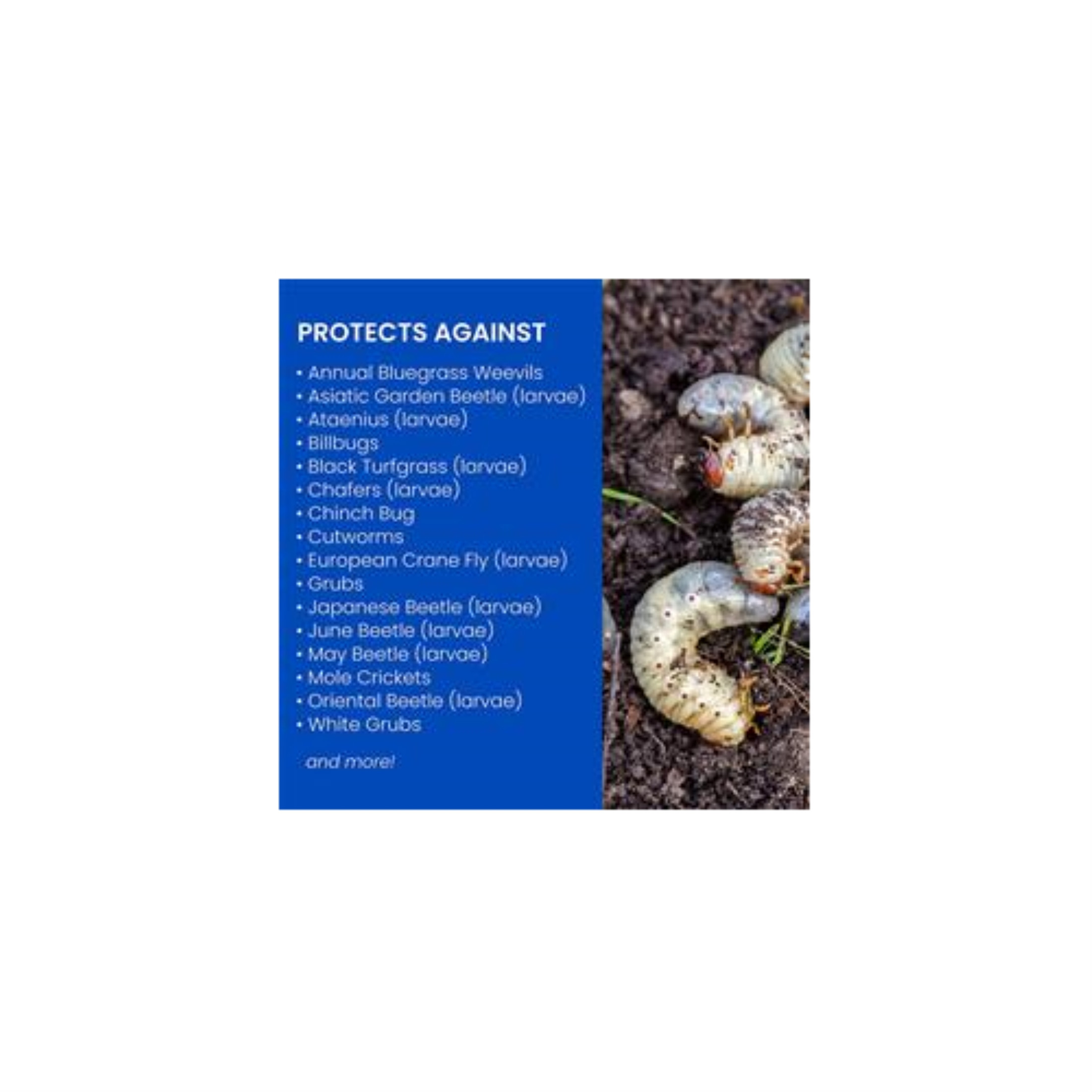 BioAdvanced Season Long Grub Control Plus Turf Revitalizer, 24 LB Bag BioAdvanced Season Long Grub Control Plus Turf Revitalizer, 24 LB Bag