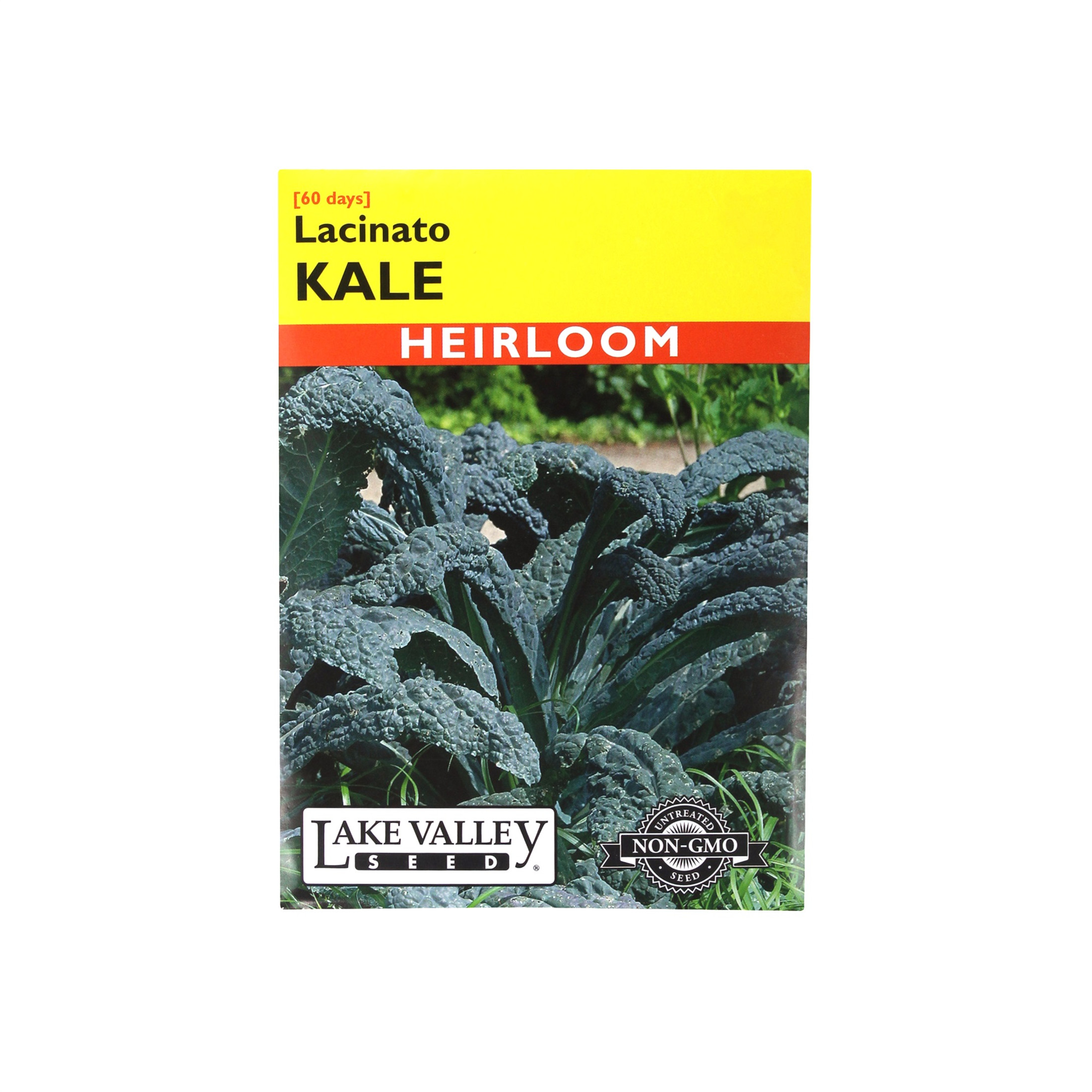 Lake Valley Seed Lacinato Kale Vegetable Heirloom, 2g