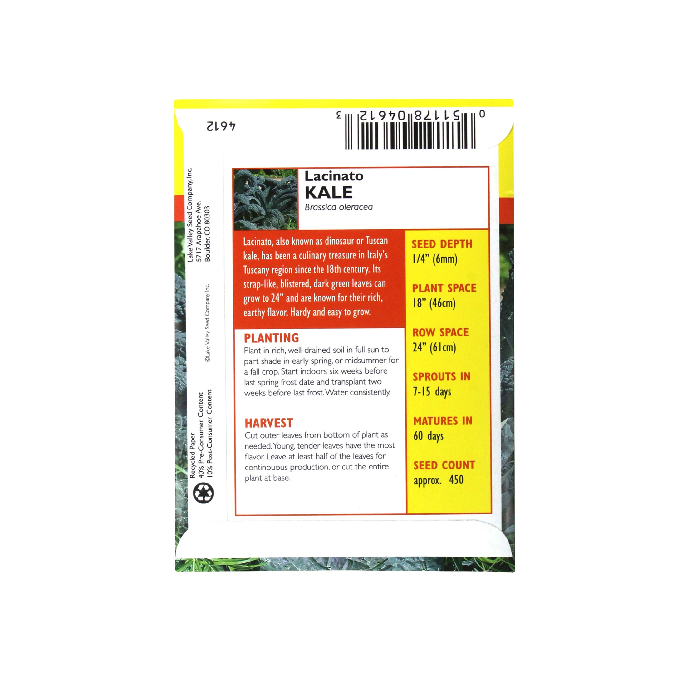 Lake Valley Seed Lacinato Kale Vegetable Heirloom, 2g