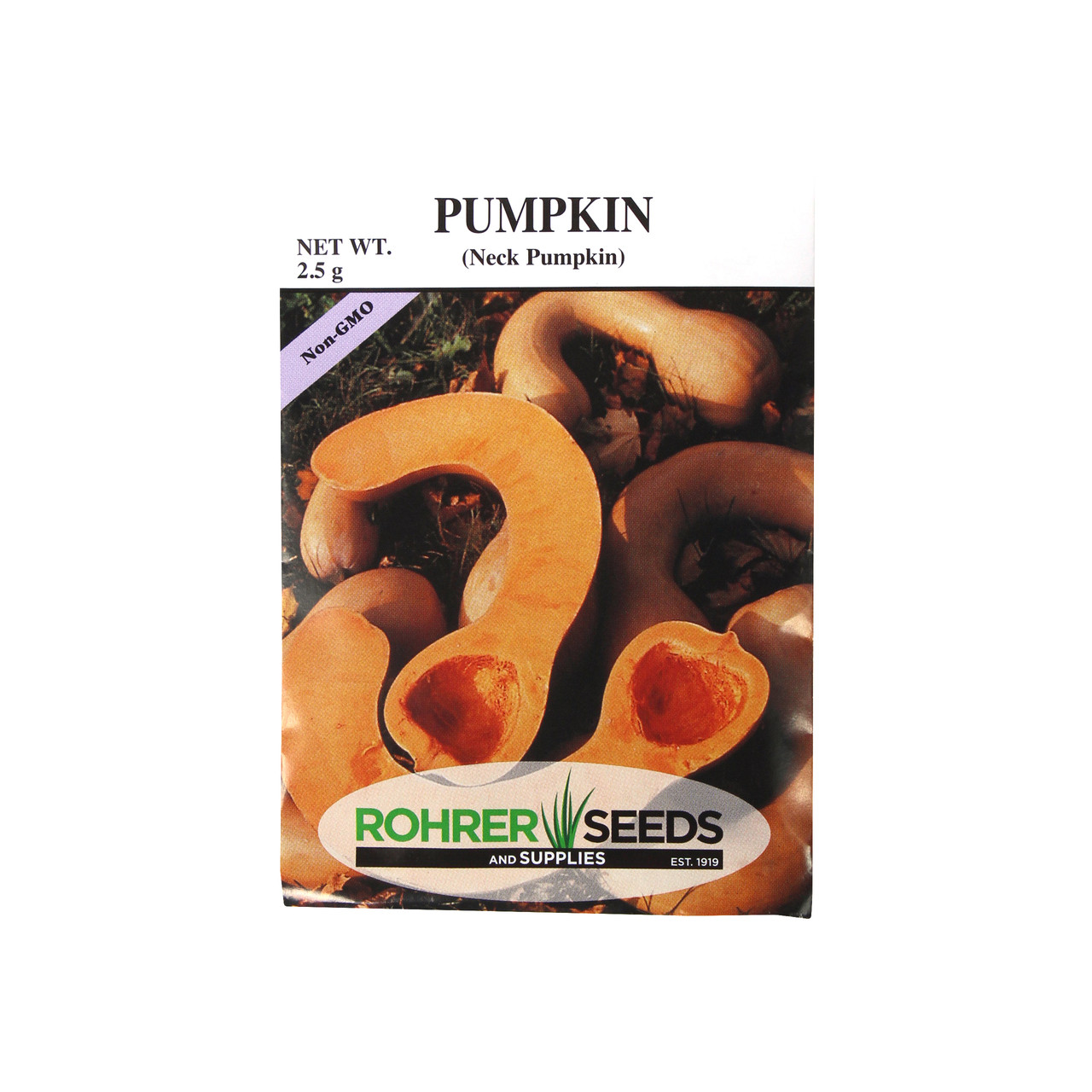 Rohrer Seeds Neck Pumpkin