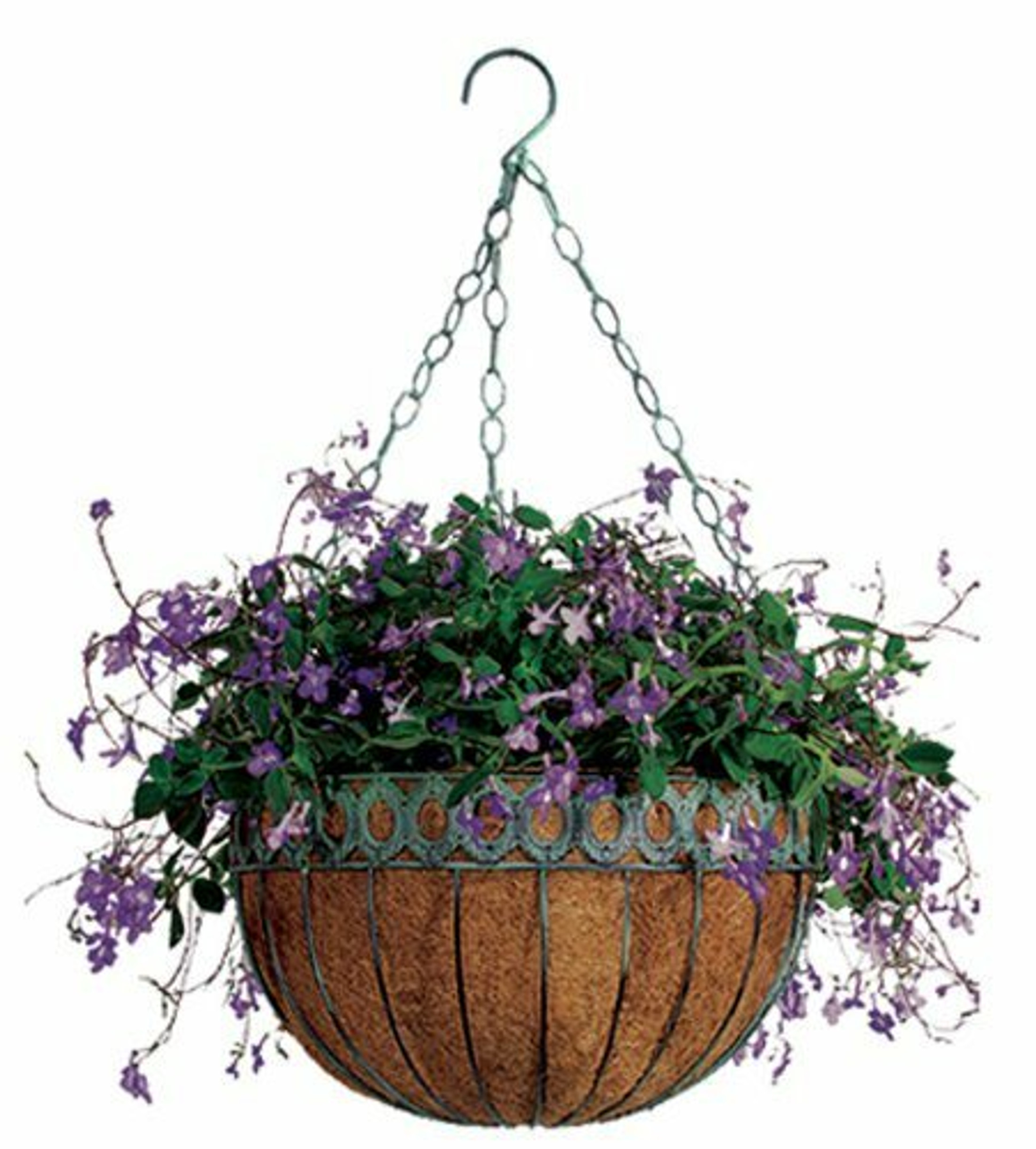 Austram 112778 14-Inch Antique Green Round Queen Anne Hanging Planter