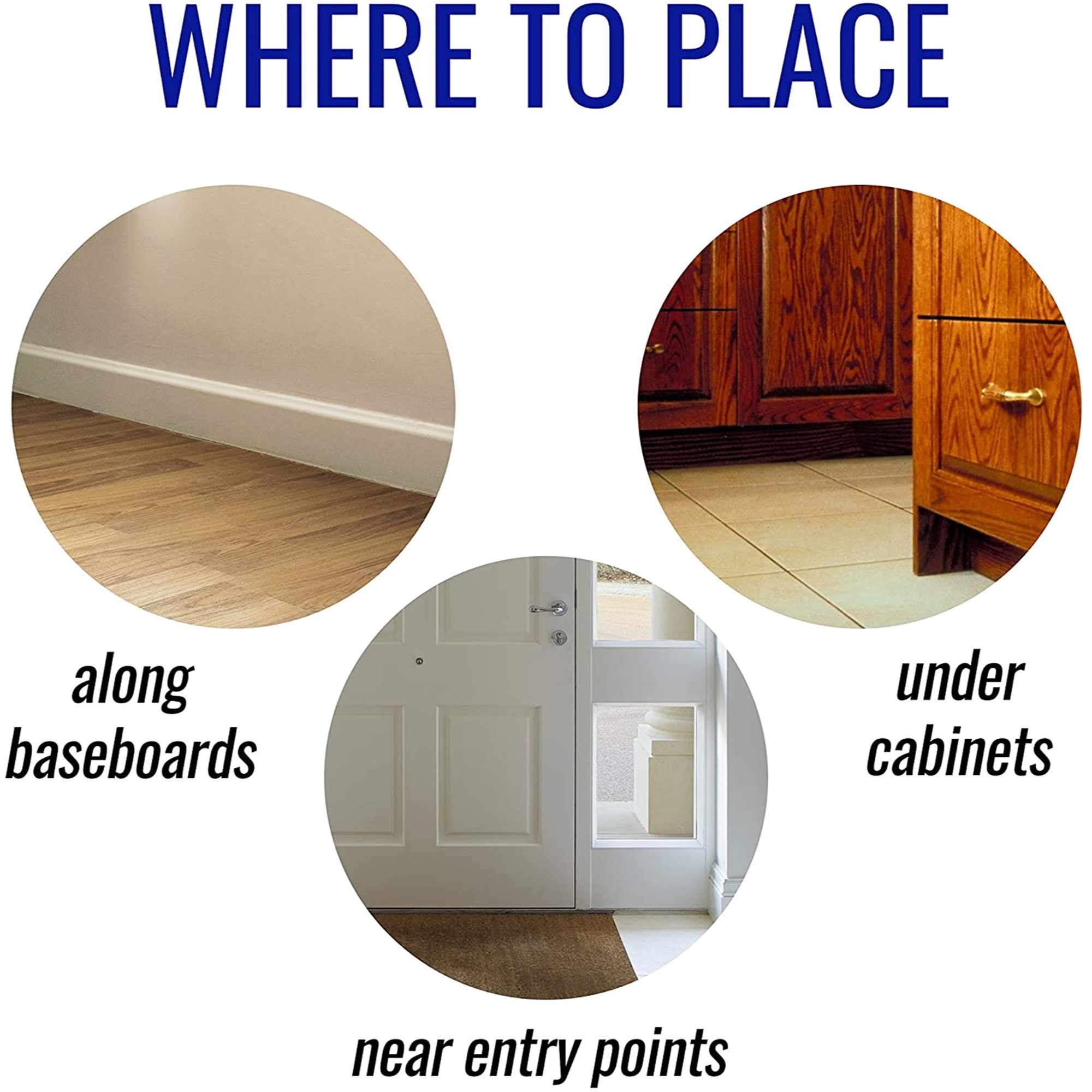 Terro Liquid Ant Killer with Borax, 1lb – Controls All Household Ants