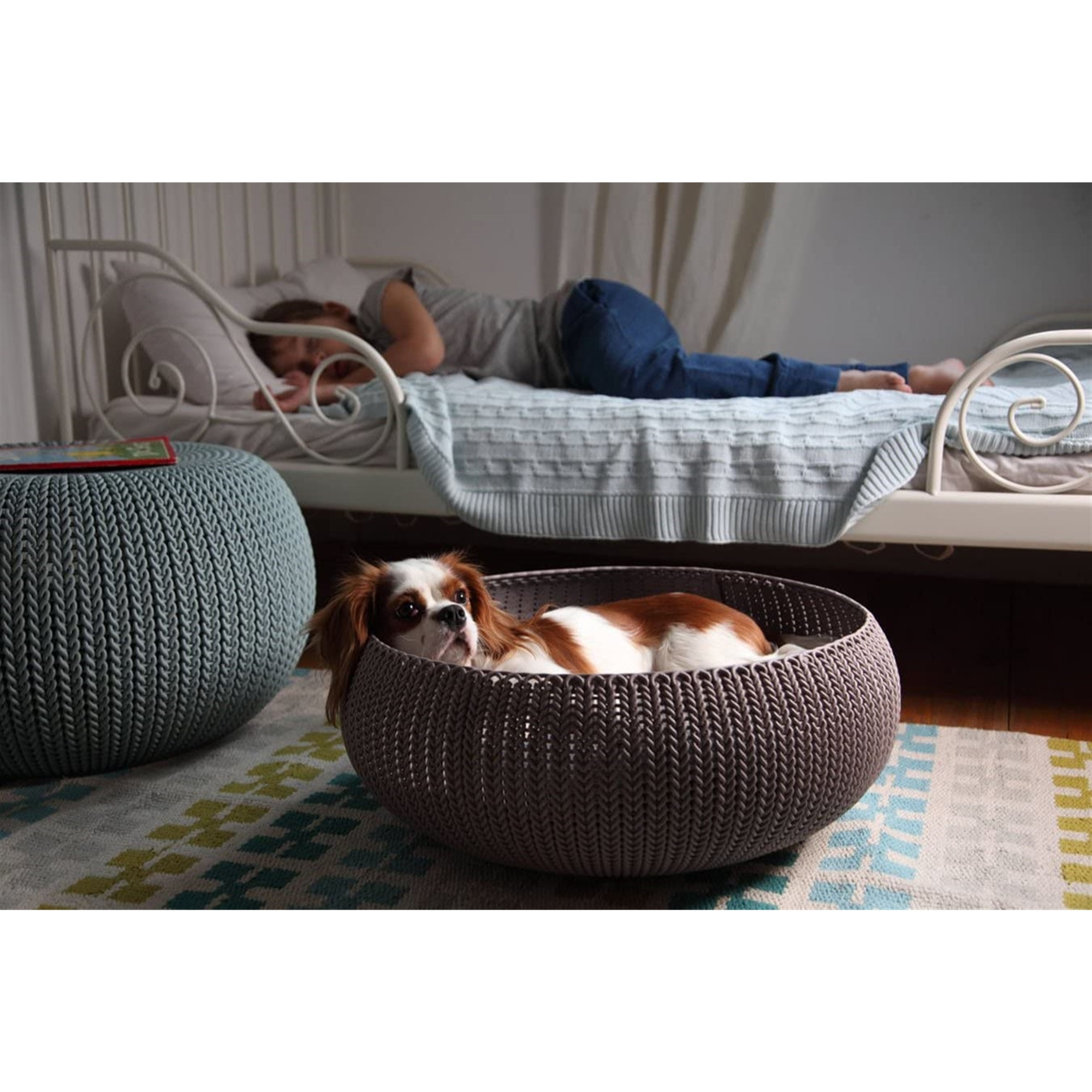 Keter by Curver Knit Cozy Resin Plastic Pet Bed for Dogs and Cats