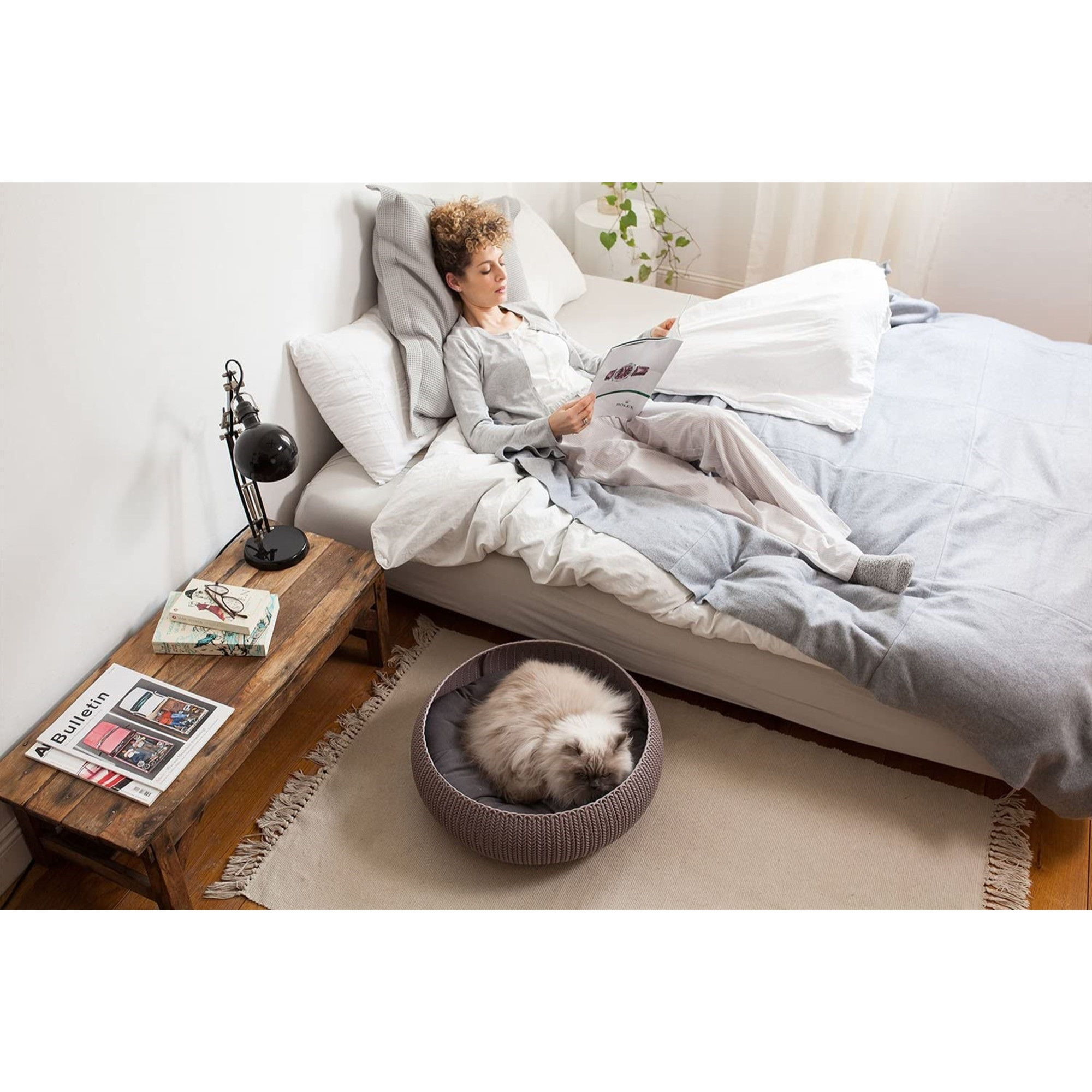 Keter by Curver Knit Cozy Resin Plastic Pet Bed for Dogs and Cats