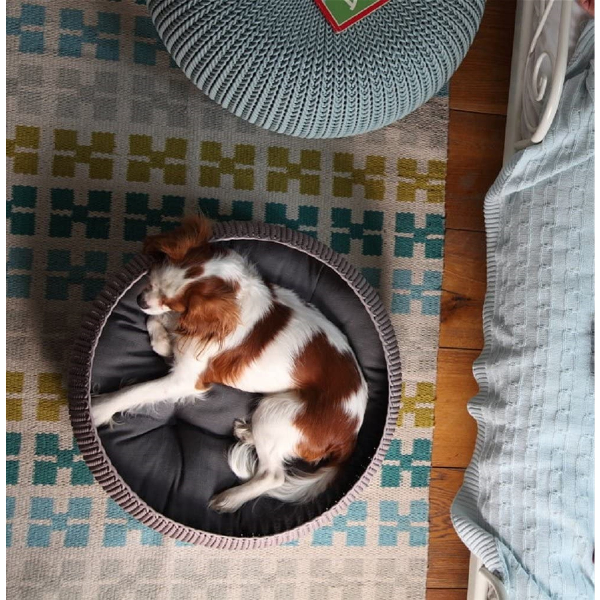 Keter by Curver Knit Cozy Resin Plastic Pet Bed for Dogs and Cats