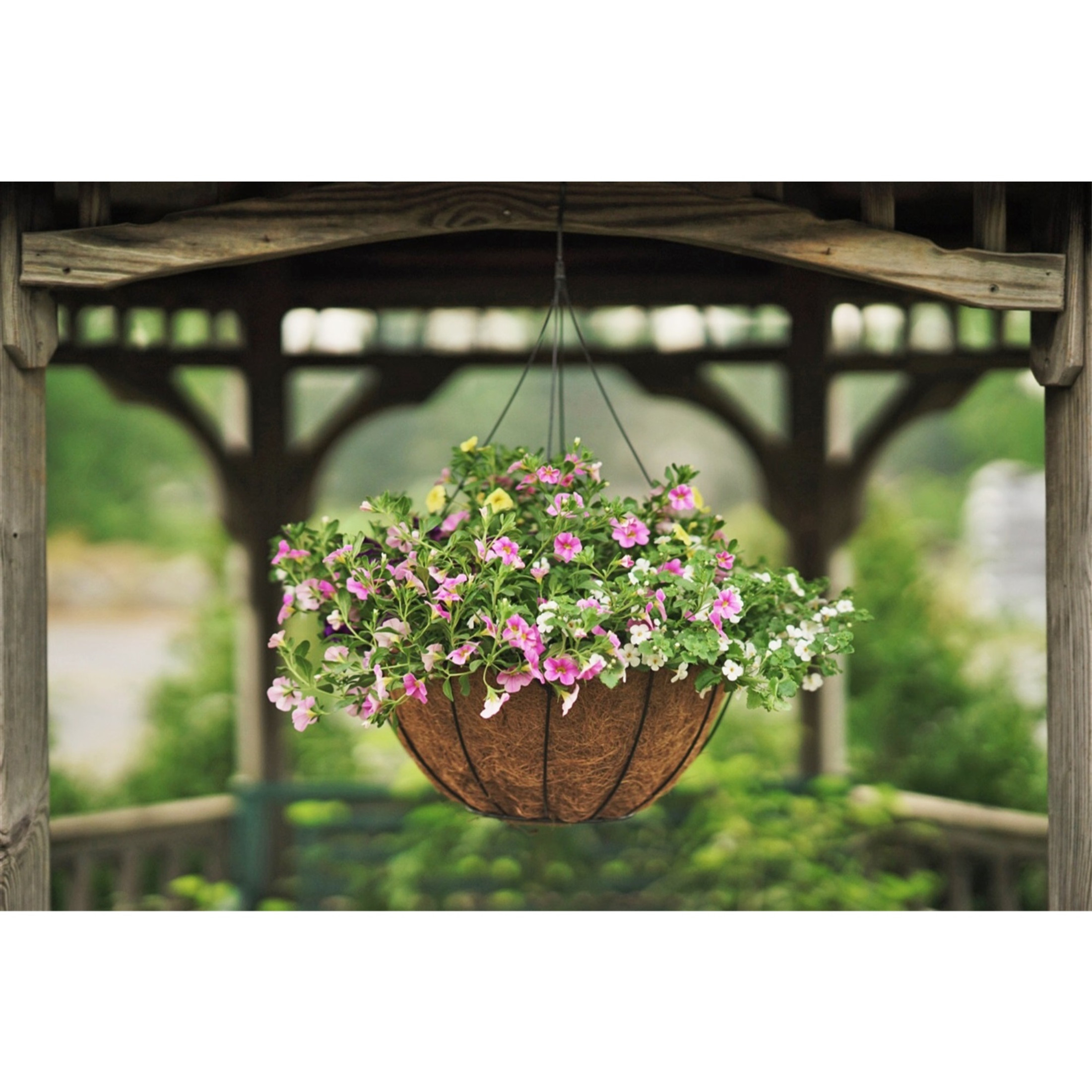 Pride Garden Products Grower Hanging Baskets with AquaSav Smart Coco Liner, 16