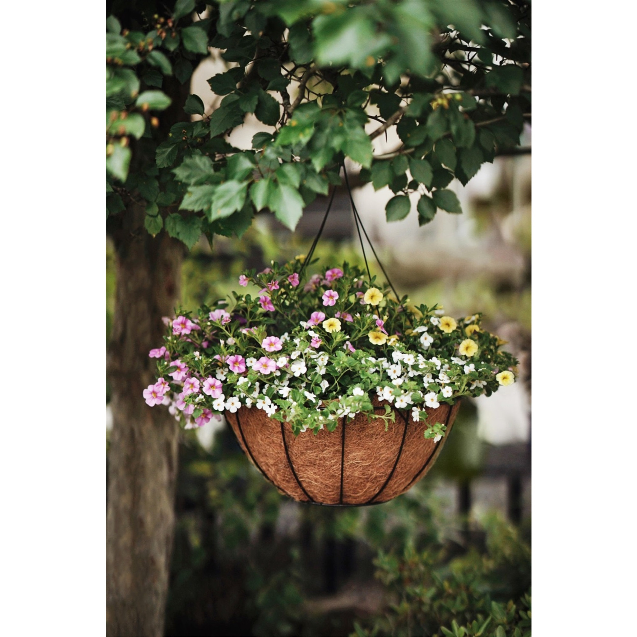 Pride Garden Products Grower Hanging Baskets with AquaSav Smart Coco Liner, 16