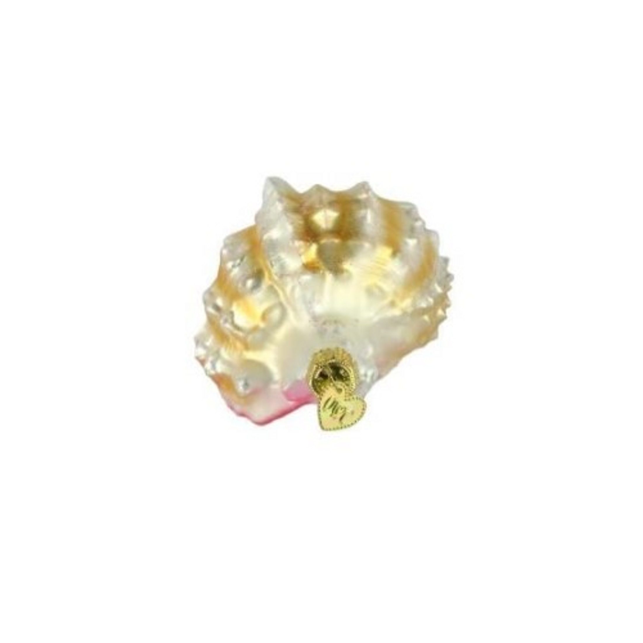 Old World Christmas Glass Blown Ornament, Mexican Seashell (With OWC Gift Box)