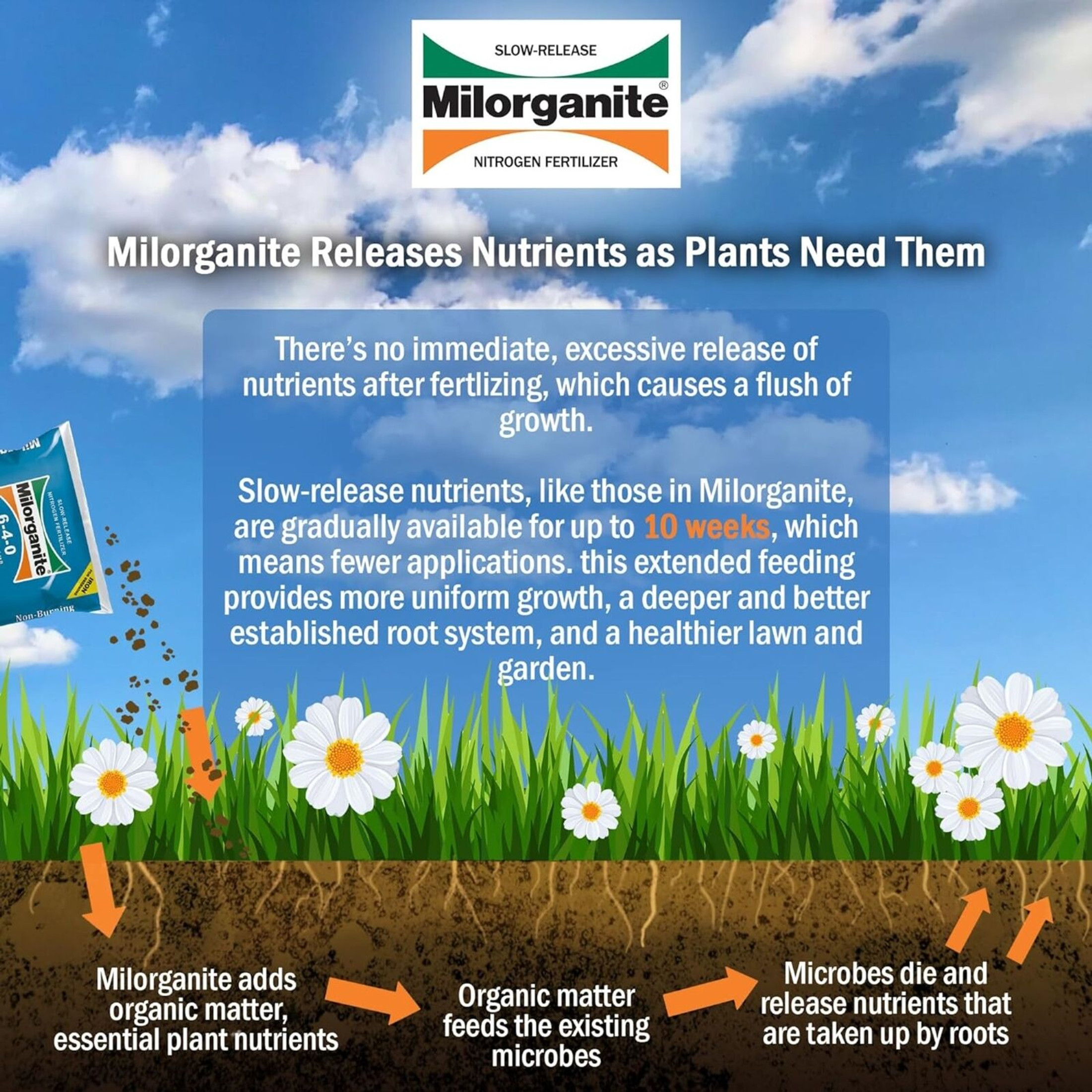 Milorganite All-Purpose Eco-Friendly Slow-Release Nitrogen 6-4-0 Fertilizer, 32 Pound Bag - for Lawns, Flowers, and Gardens