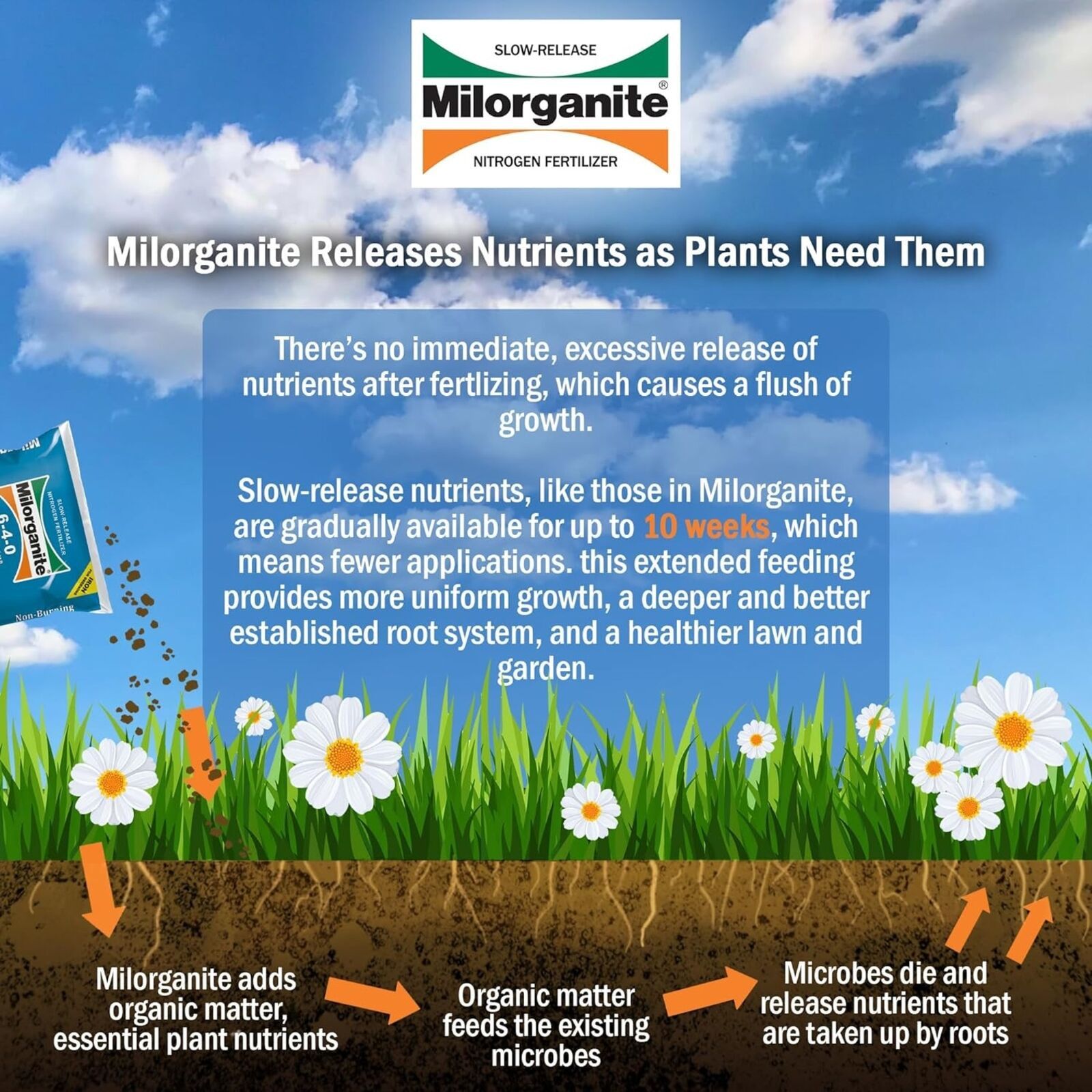 Milorganite All-Purpose Eco-Friendly Slow-Release Nitrogen 6-4-0 Fertilizer, 32lb (Not for Sale in ME & CT)
