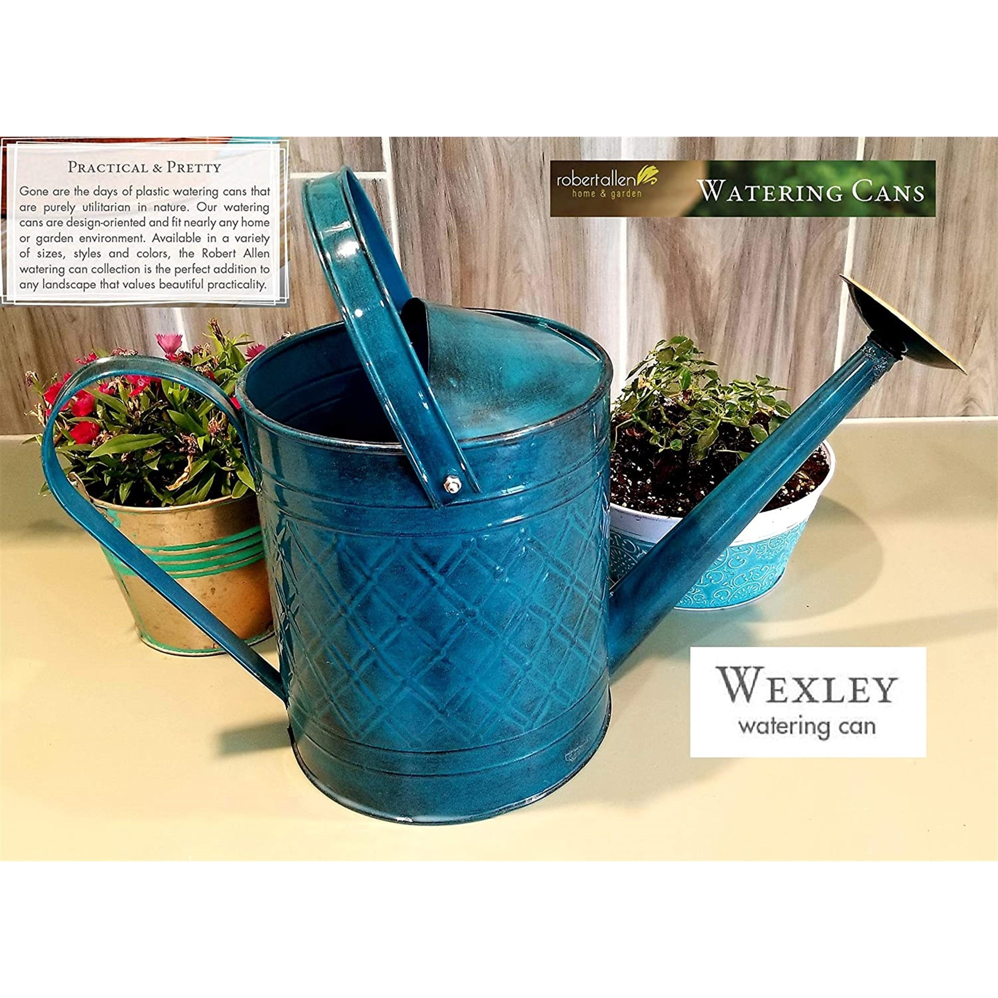 Robert Allen H and G Metal IronLite Wexley Watering Can, Mountain Waves, 2 Gal