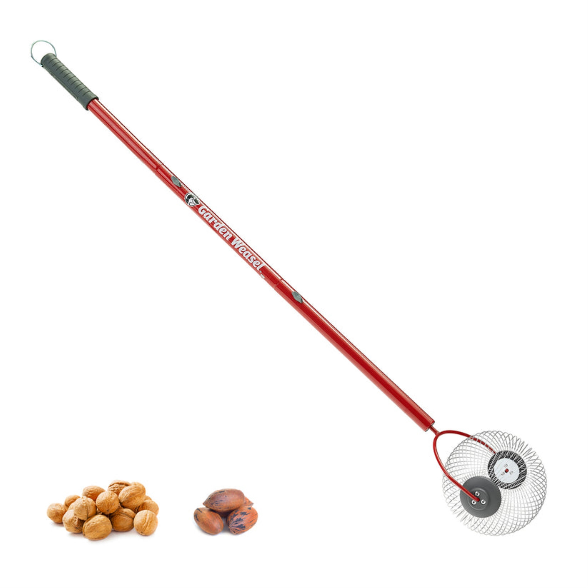 Garden Weasel Nut Gatherer Tool for Collecting Nuts and Small Objects, Medium