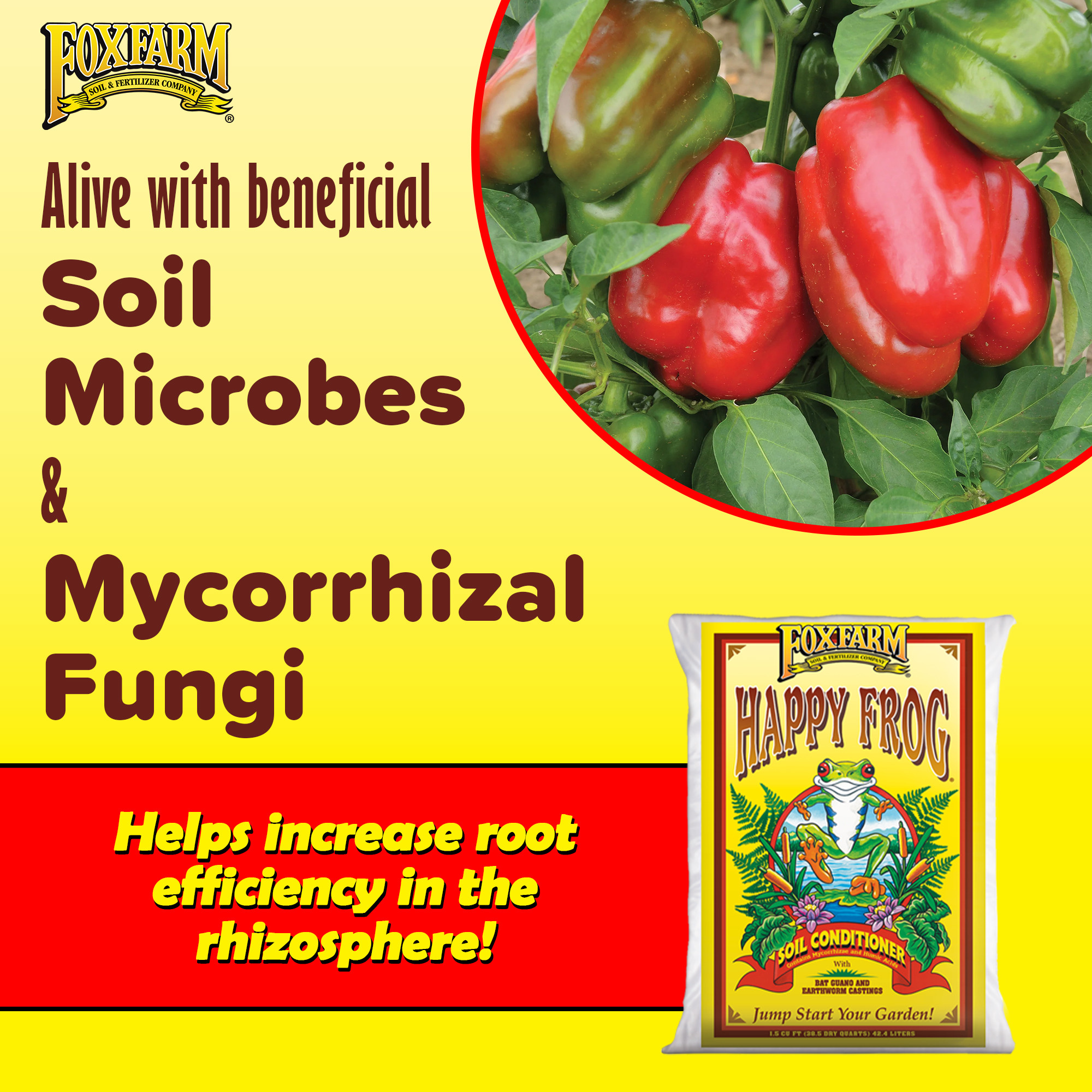 FoxFarm Happy Frog Soil Conditioner with Bat Guano and Mycorrhizae