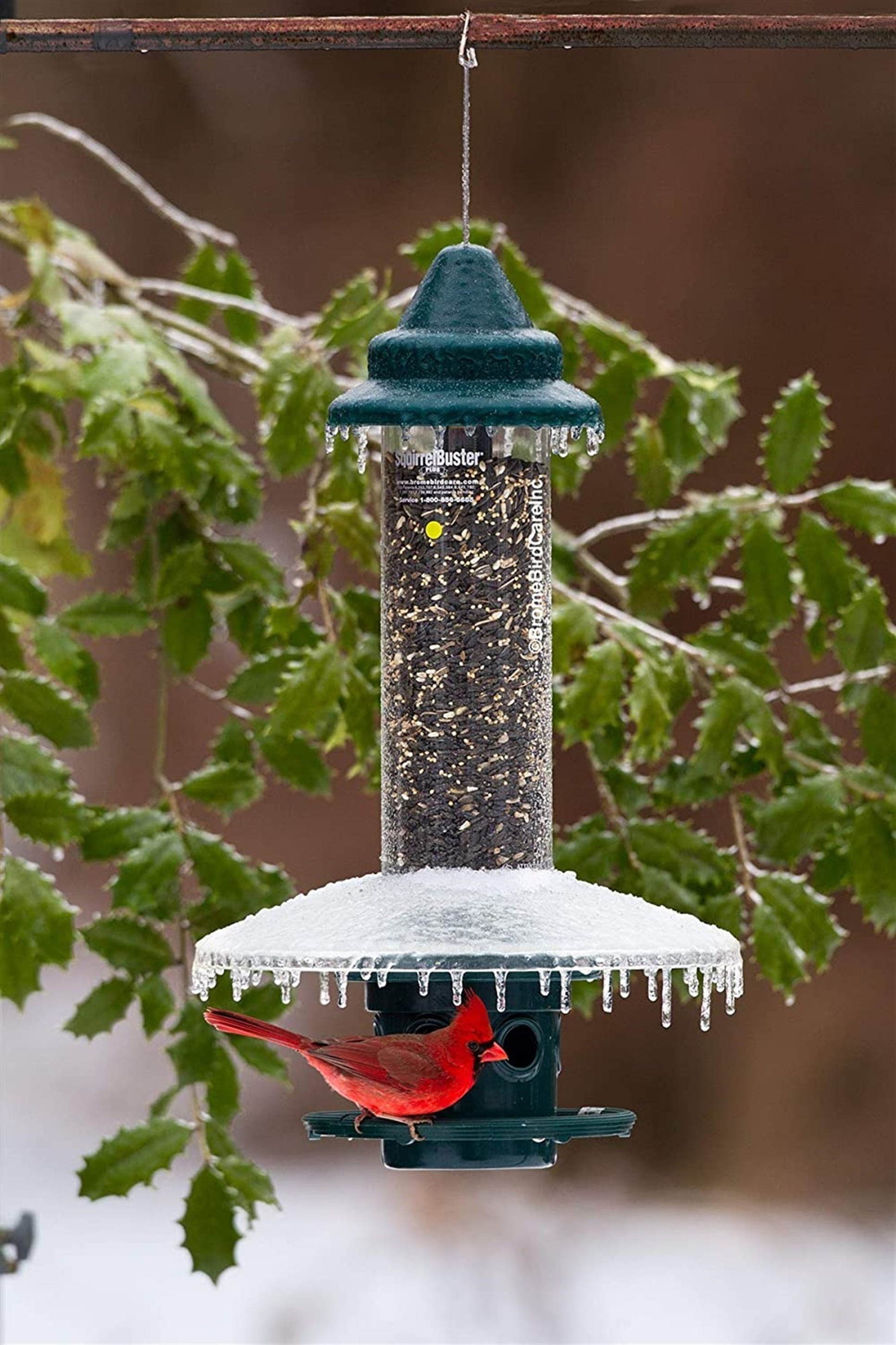 Brome Weather Guard for Squirrel Buster Plus Bird Feeder (FEEDER NOT INCLUDED)