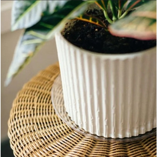 Curtis Wagner Plastics Clear Designer Series Heavy Plant Saucers, Footed — 6”