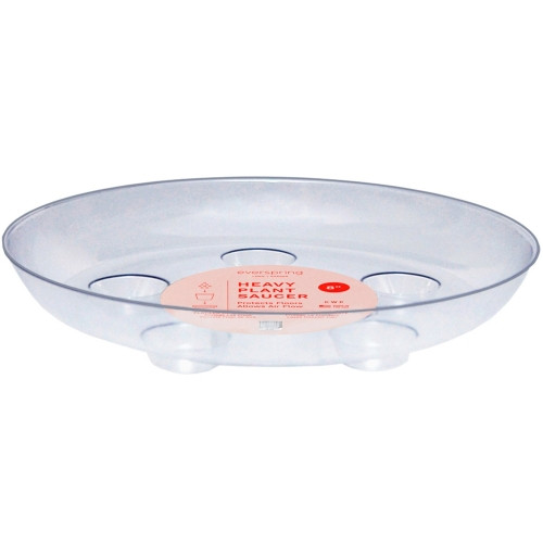 Curtis Wagner Plastics Clear Designer Series Heavy Plant Saucers, Footed — 8”