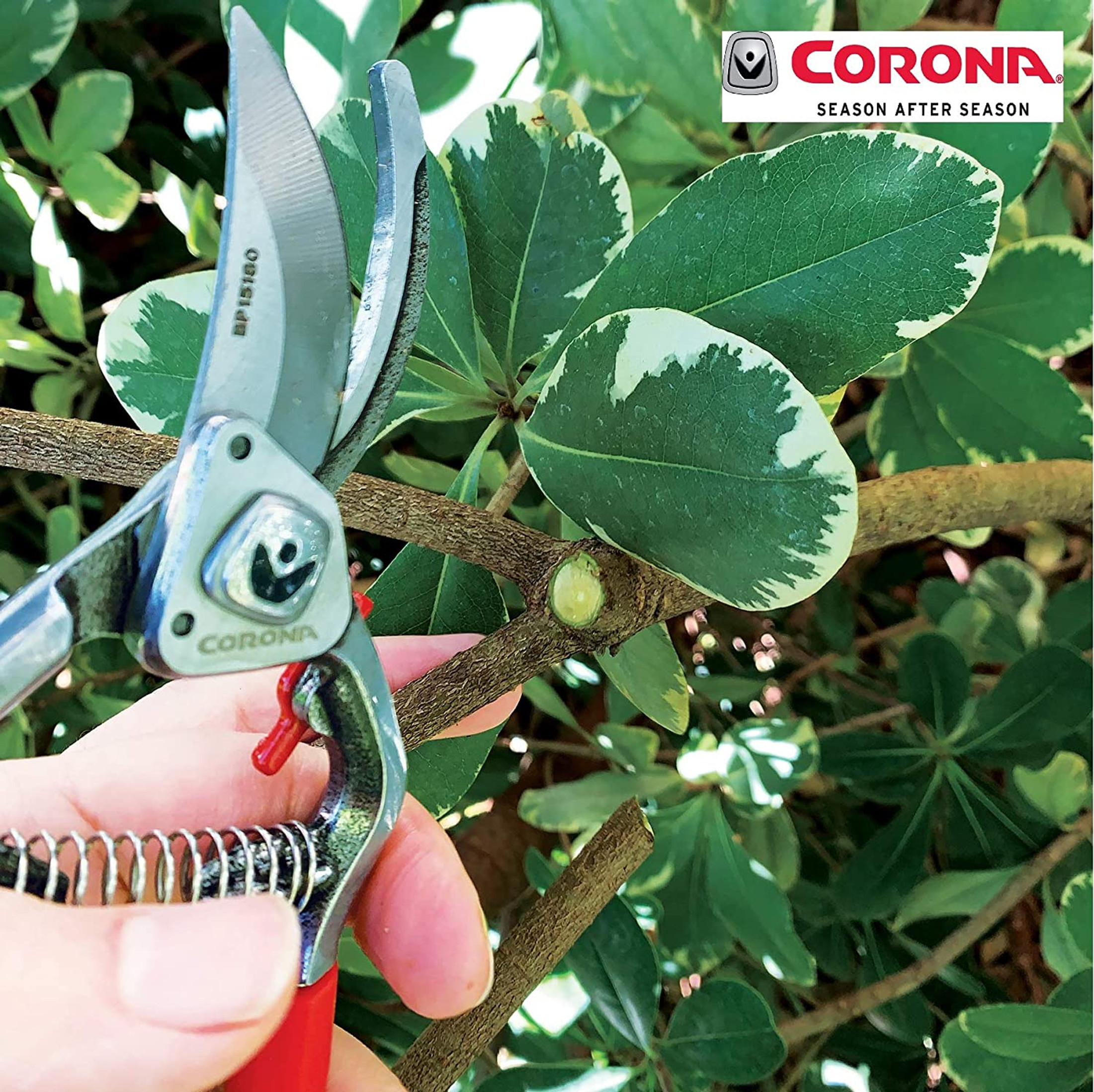Corona Forged Steel ClassicCUT Bypass Hand Pruner-1" Cut Stem/Branch Shears