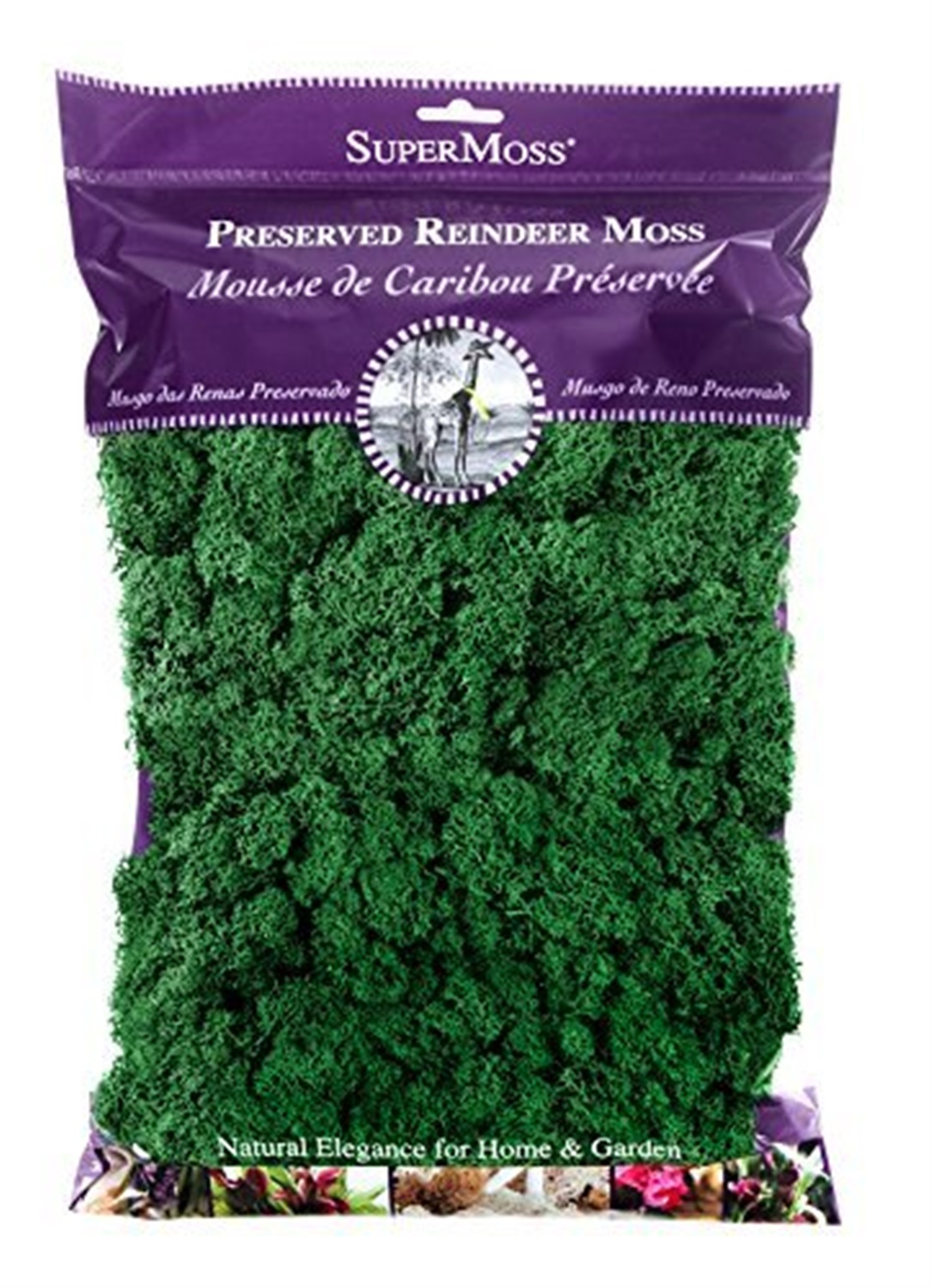  Super Moss 21669 Reindeer Moss Preserved, Chartreuse