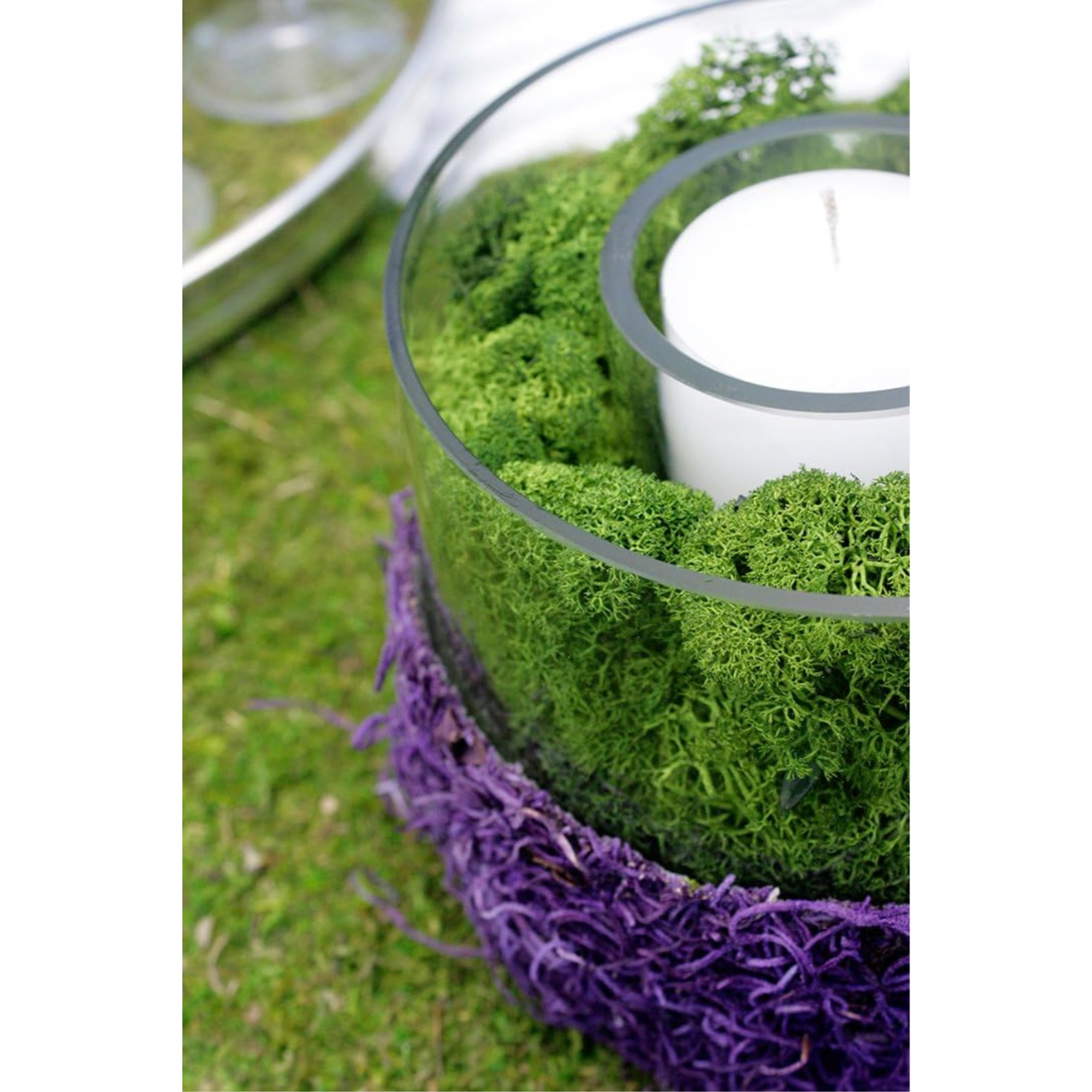 SuperMoss Preserved Reindeer Moss, Forest, 8oz bag (200 cubic inch)