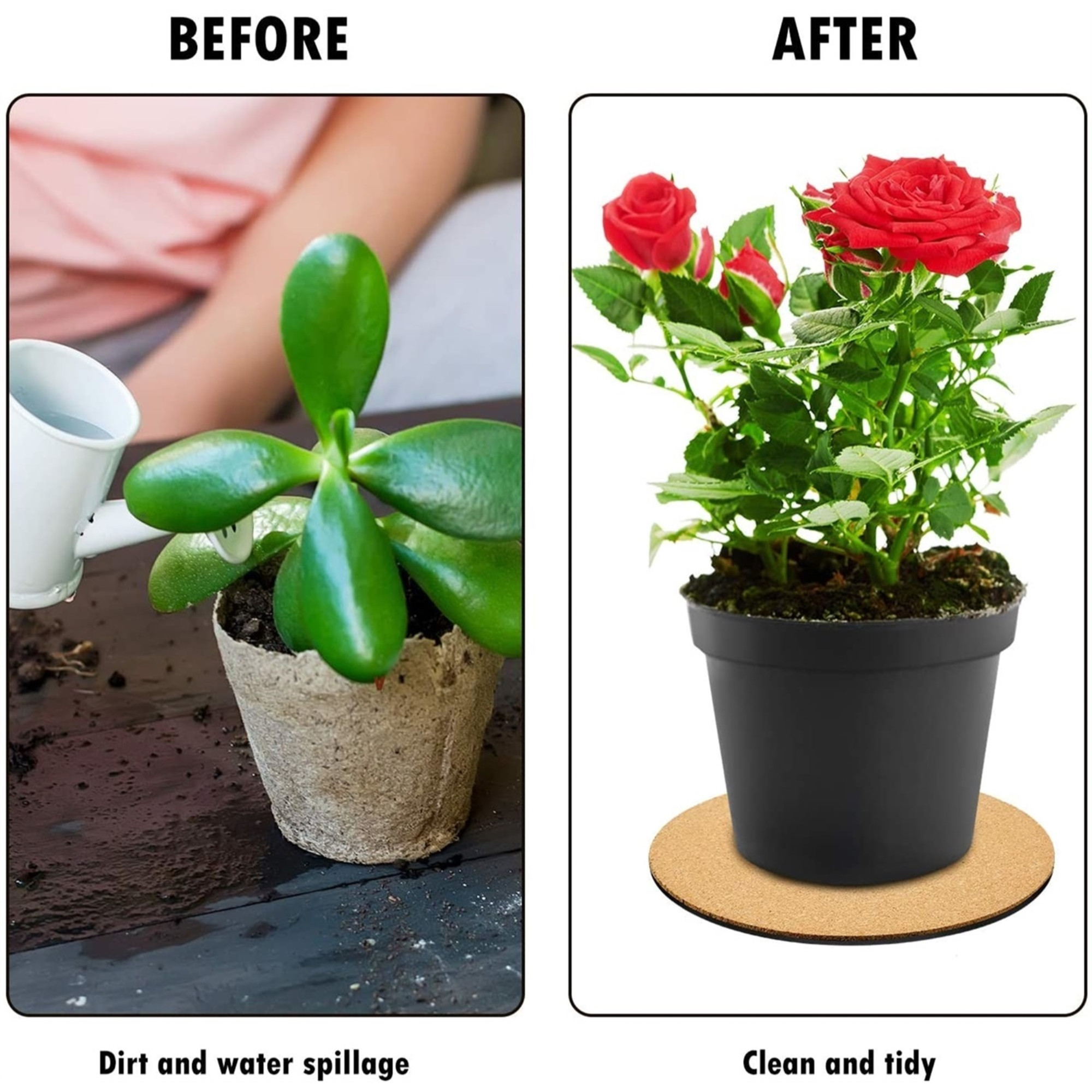 CWP Surface Protector Plant Mat Saucers, Assorted Colors, 8", Pack of 3