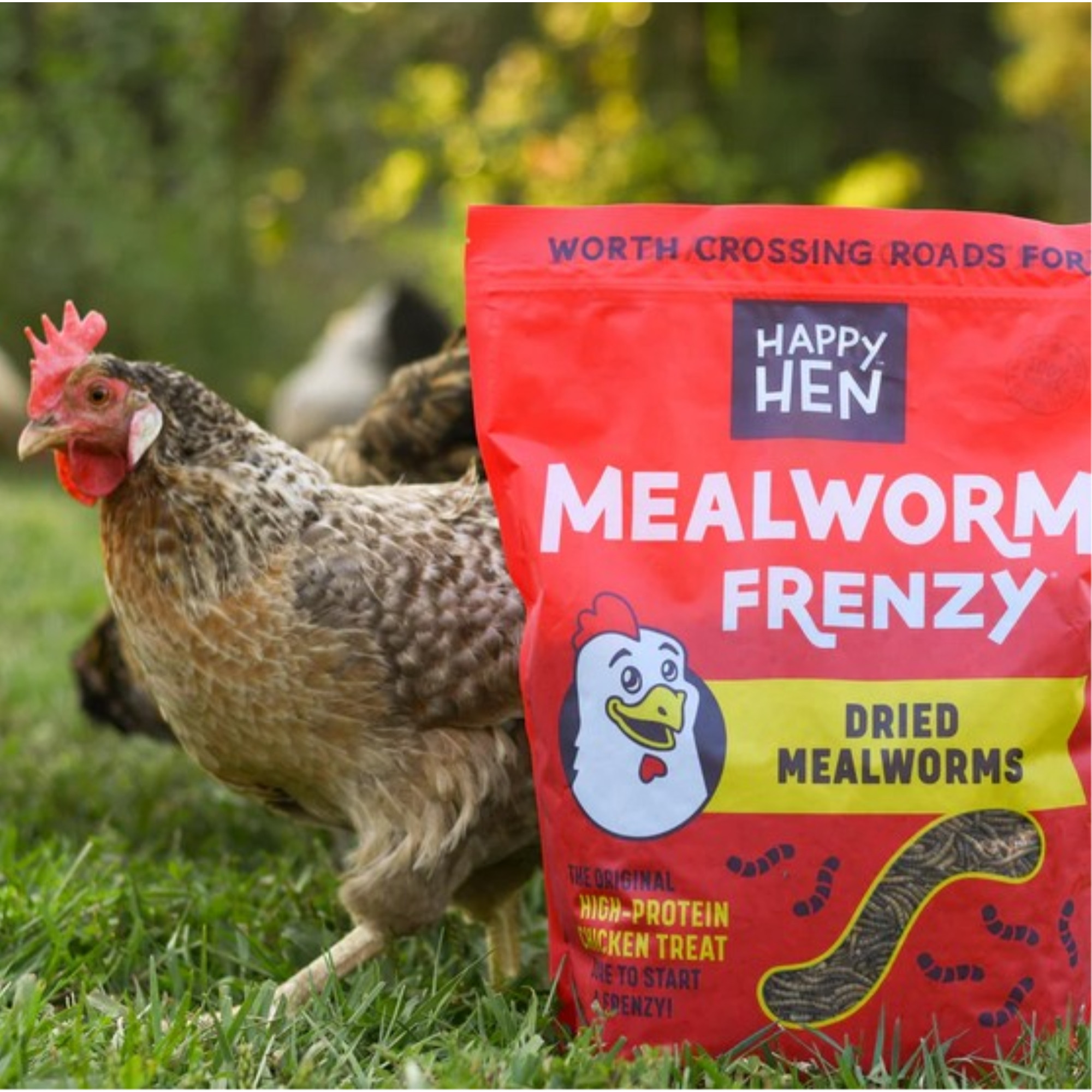Happy Hen Treats Mealworm Frenzy – 100% Natural Dried Mealworms – High-Protein Poultry Snack, 30oz