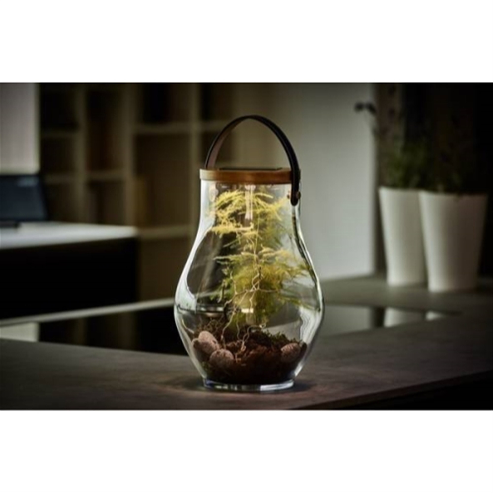 Krinner Lumix Solar-Powered Home Decoration Glass LED Display Jar, 13.5in
