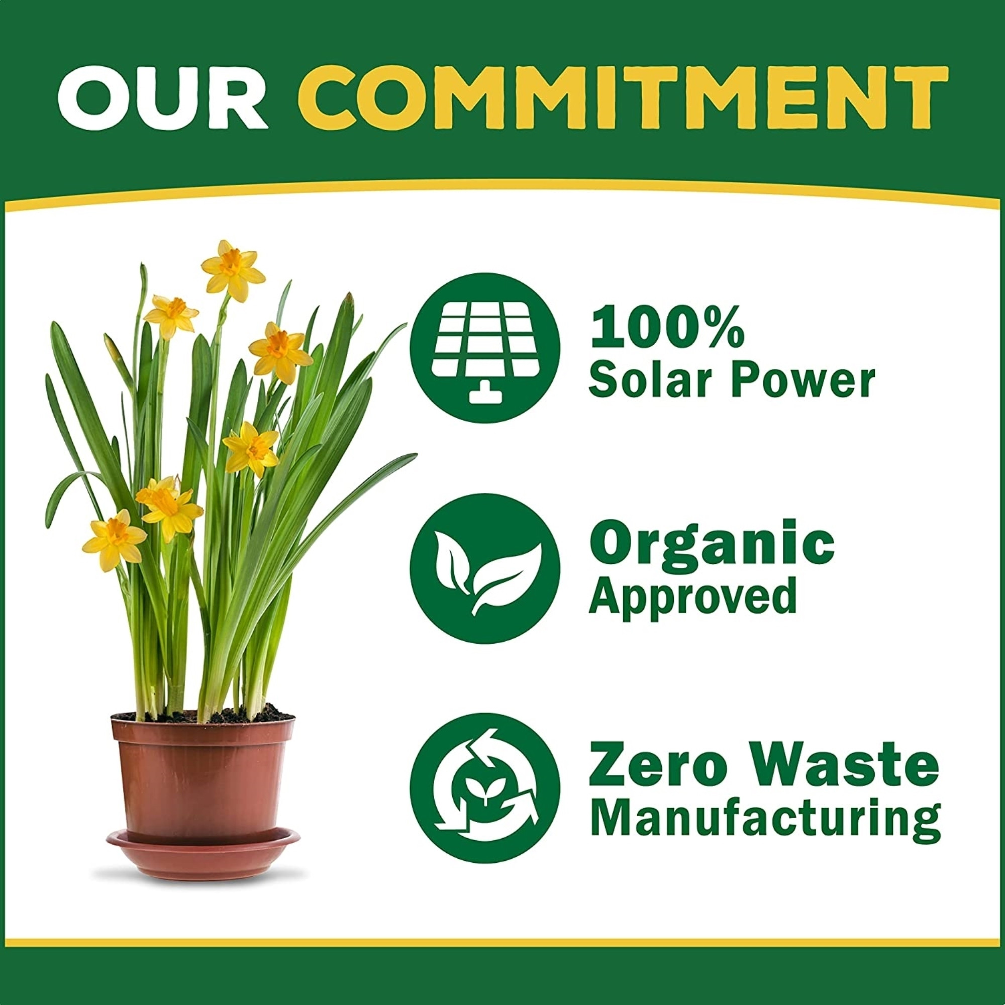 Espoma Organic Bloom! Super Blossom Booster Fertilizer Concentrate, 16 fl oz