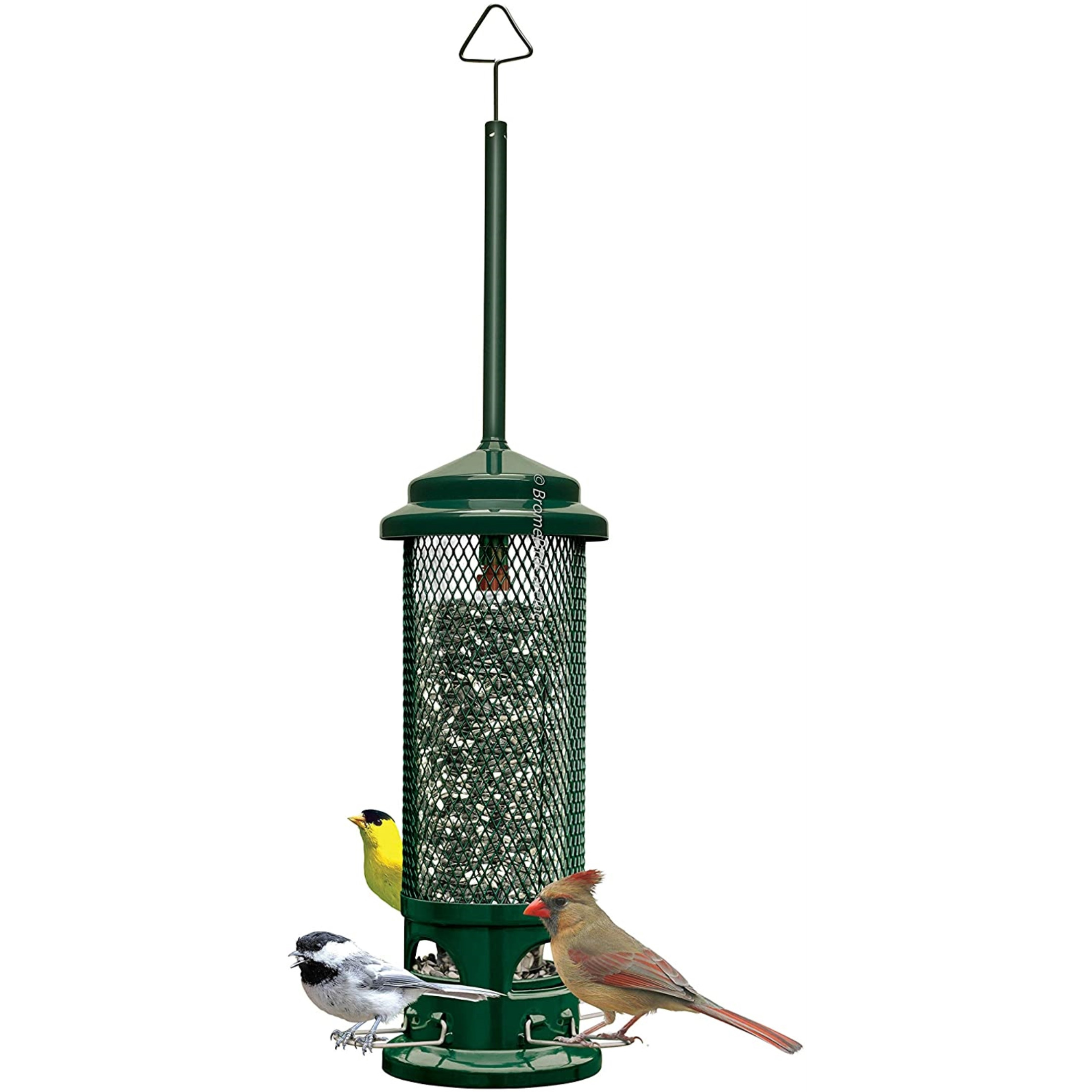 Squirrel Buster Legacy Squirrel-Proof Bird Feeder with 4 Feeding Perches, 2.6lb Seed Capacity Squirrel Buster Legacy Squirrel-Proof Bird Feeder with 4 Feeding Perches, 2.6lb Seed Capacity