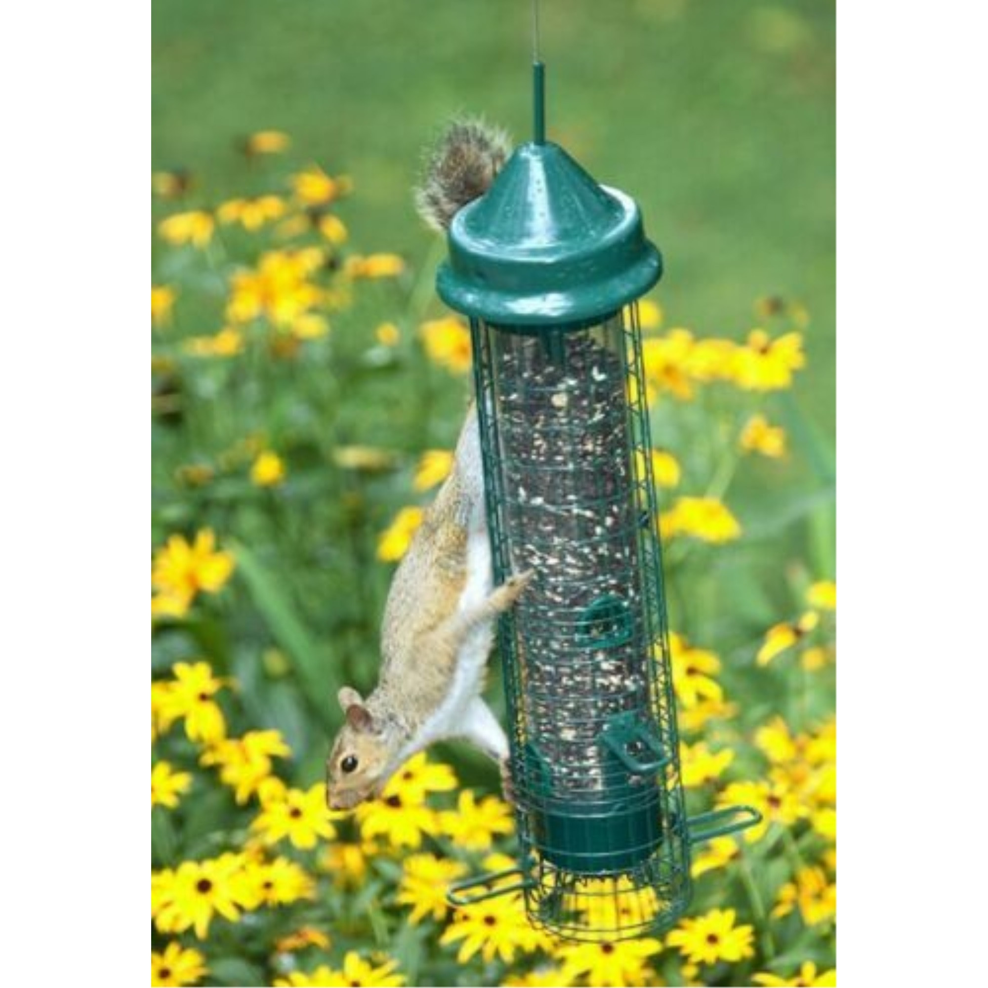 Brome Squirrel Buster Classic Tube Bird Feeder, Green