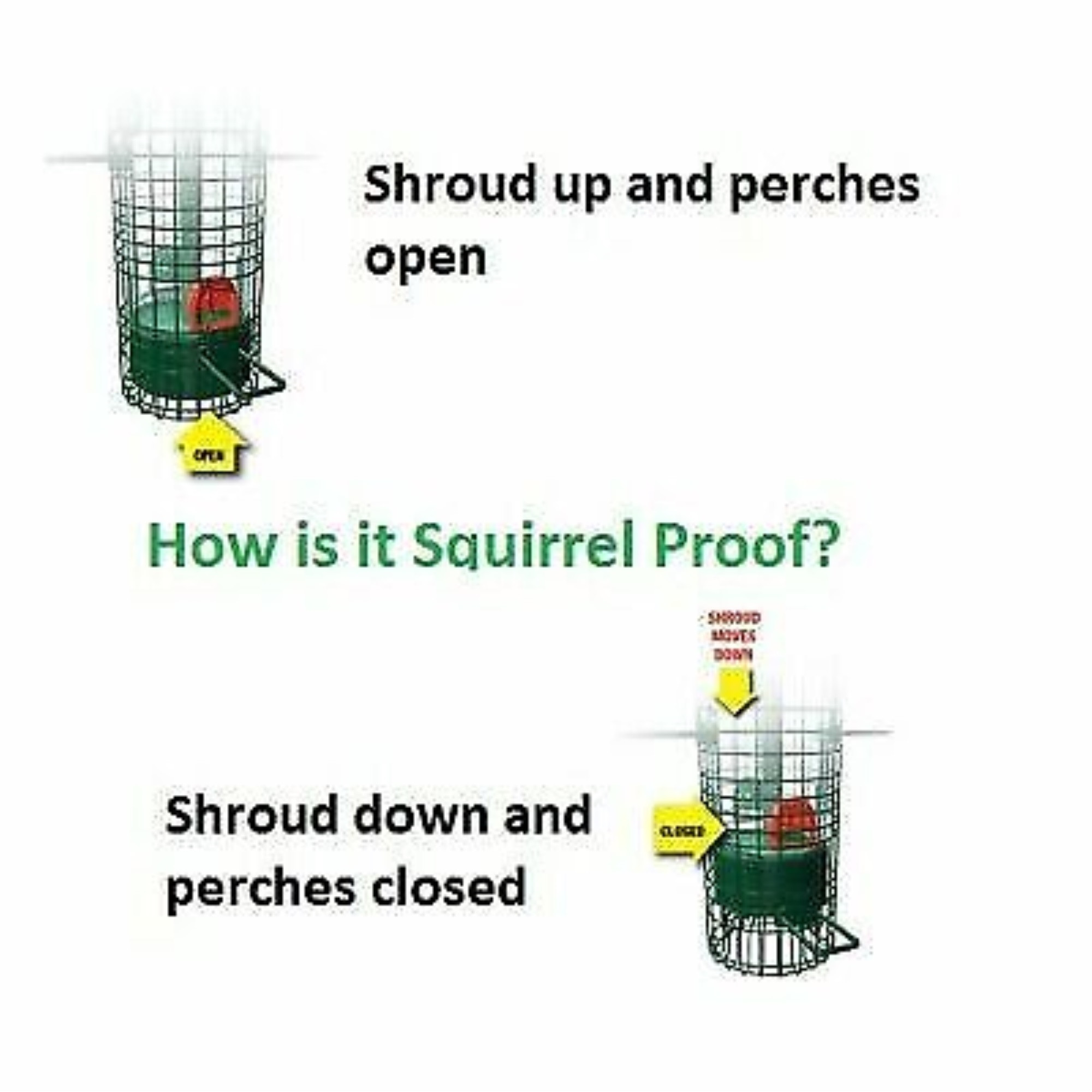 Brome Squirrel Buster Classic Tube Bird Feeder, Green