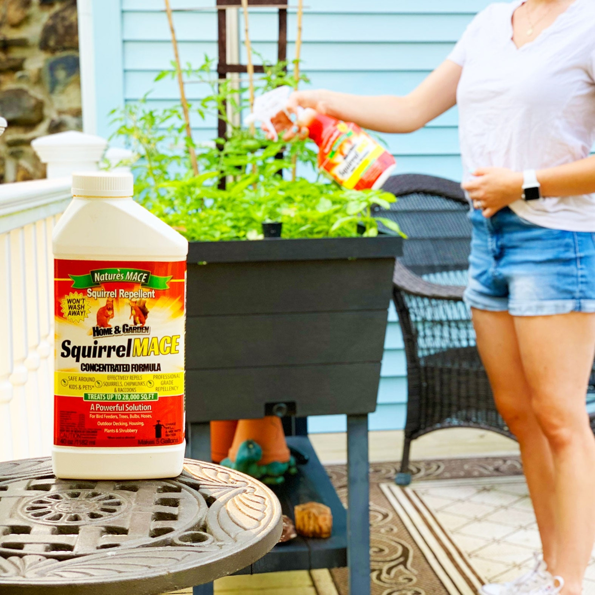 Natures MACE Squirrel Repellent Concentrate, 1 gallon - Treats 87,000 Sq. Ft