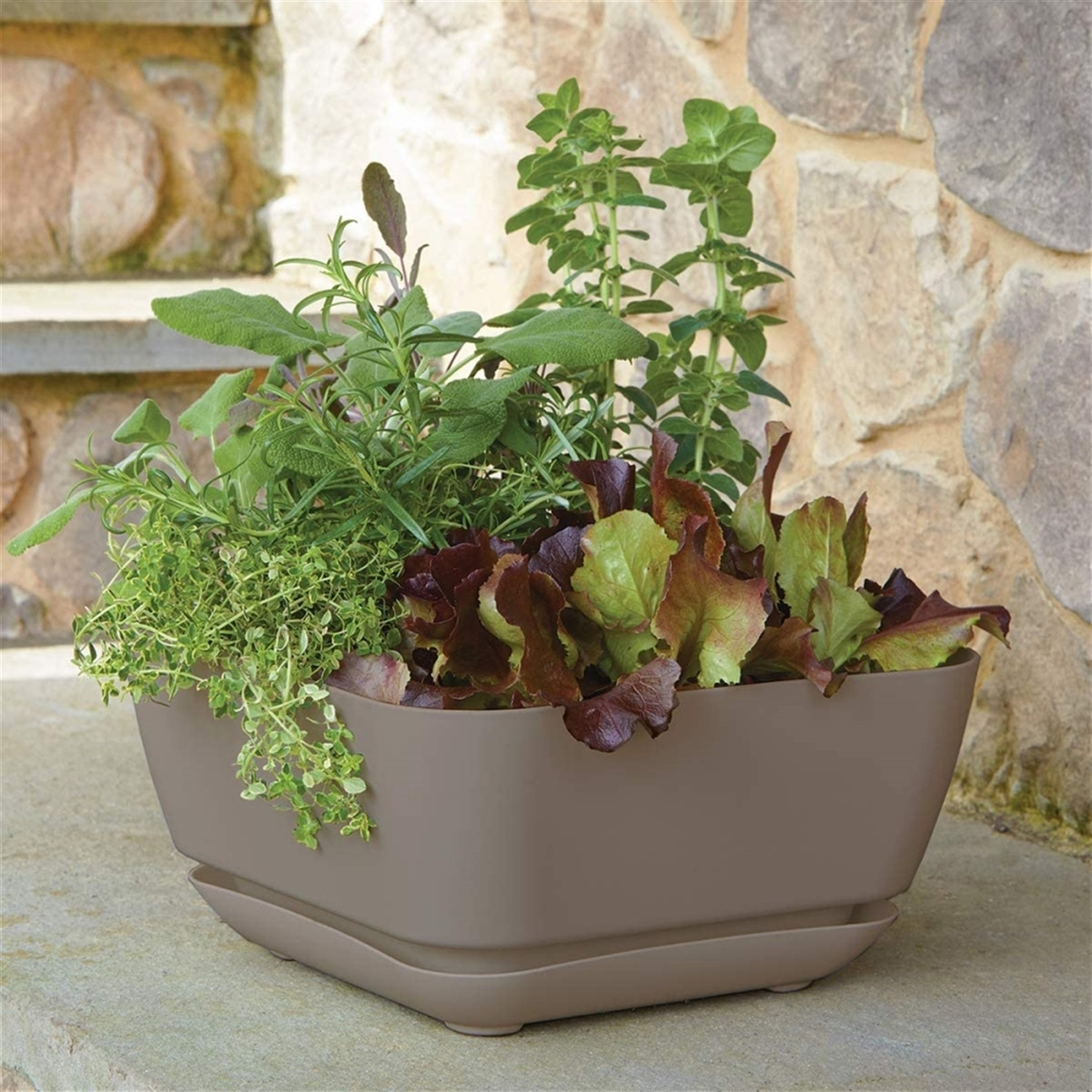 Novelty Majestic Garden Plastic Indoor/Outdoor Square Planter Pot, Taupe, 12in