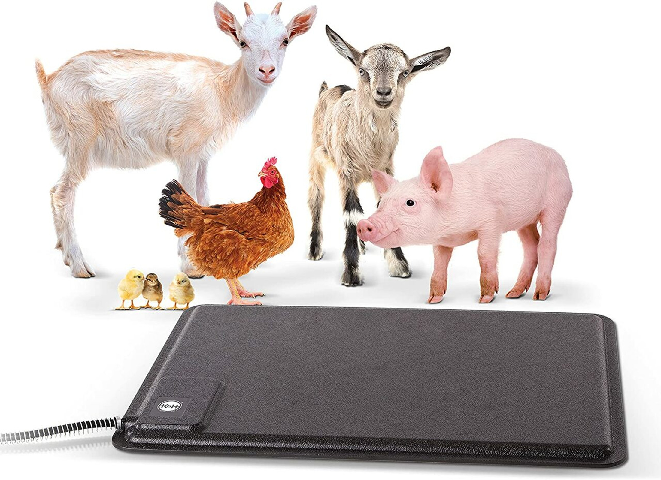 K&H Pet Products Thermo-Farm Animal Heated Mat for Hogs, Goats, Chickens