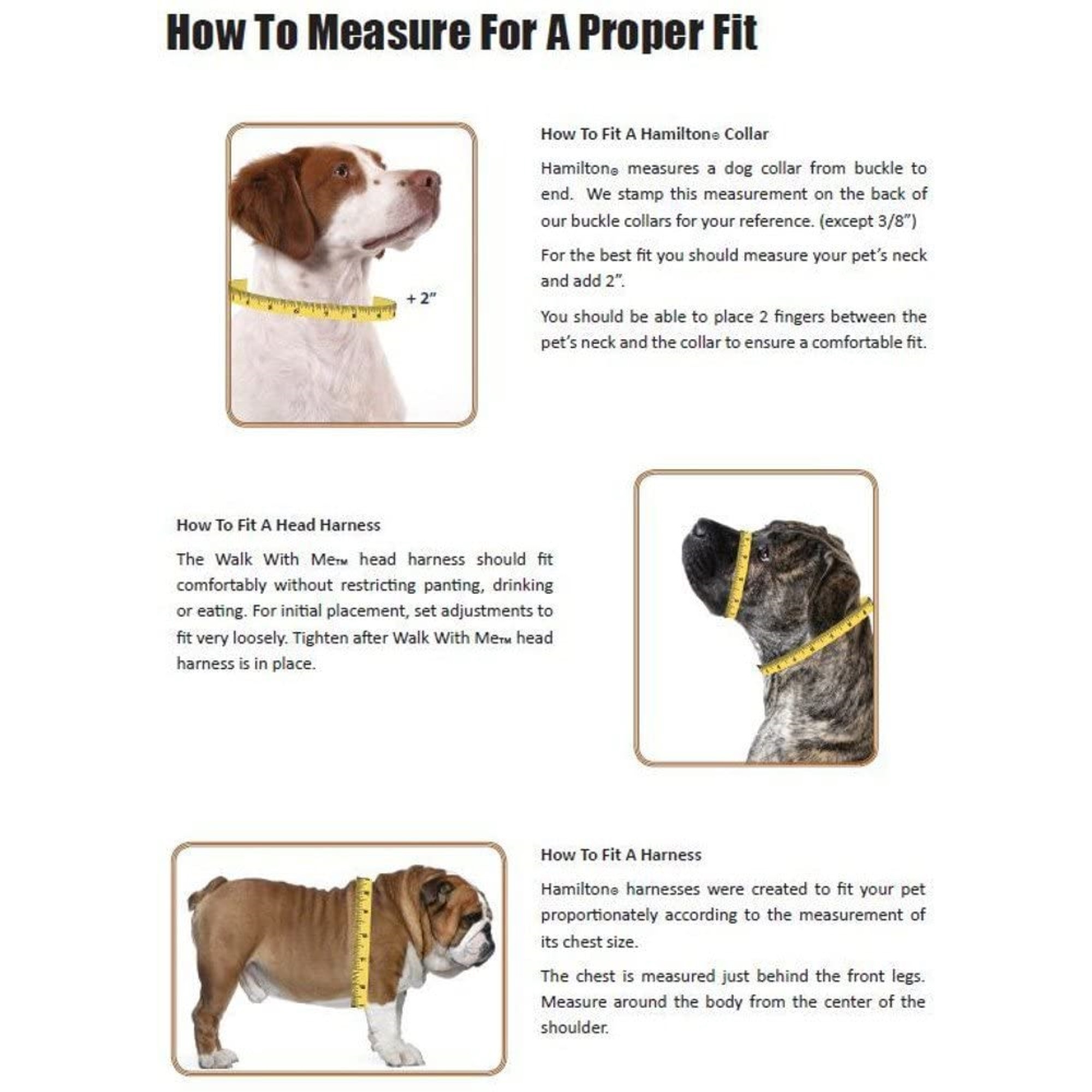 Hamilton Adjustable Classic Comfort Nylon Dog Harness, Medium Fit (20" to 30") Blue