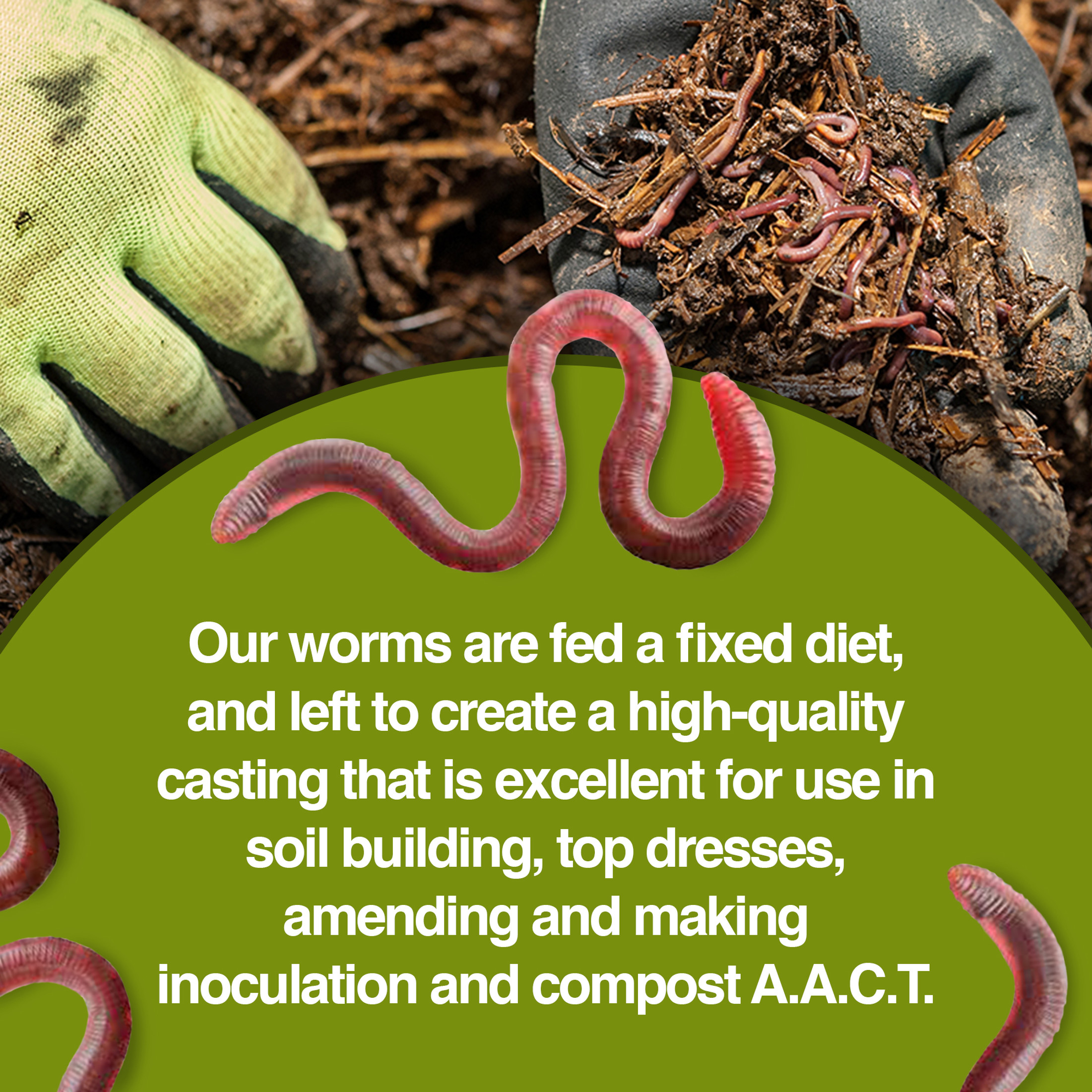 Detroit Nutrient Company All Natural Vermicompost Worm Castings, 25 Pounds