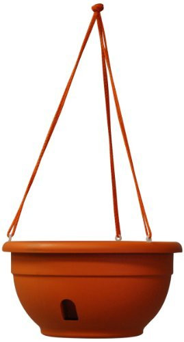 Eezy-Gro Self-Watering Hanging Planter, 12-Inch, Tangerine